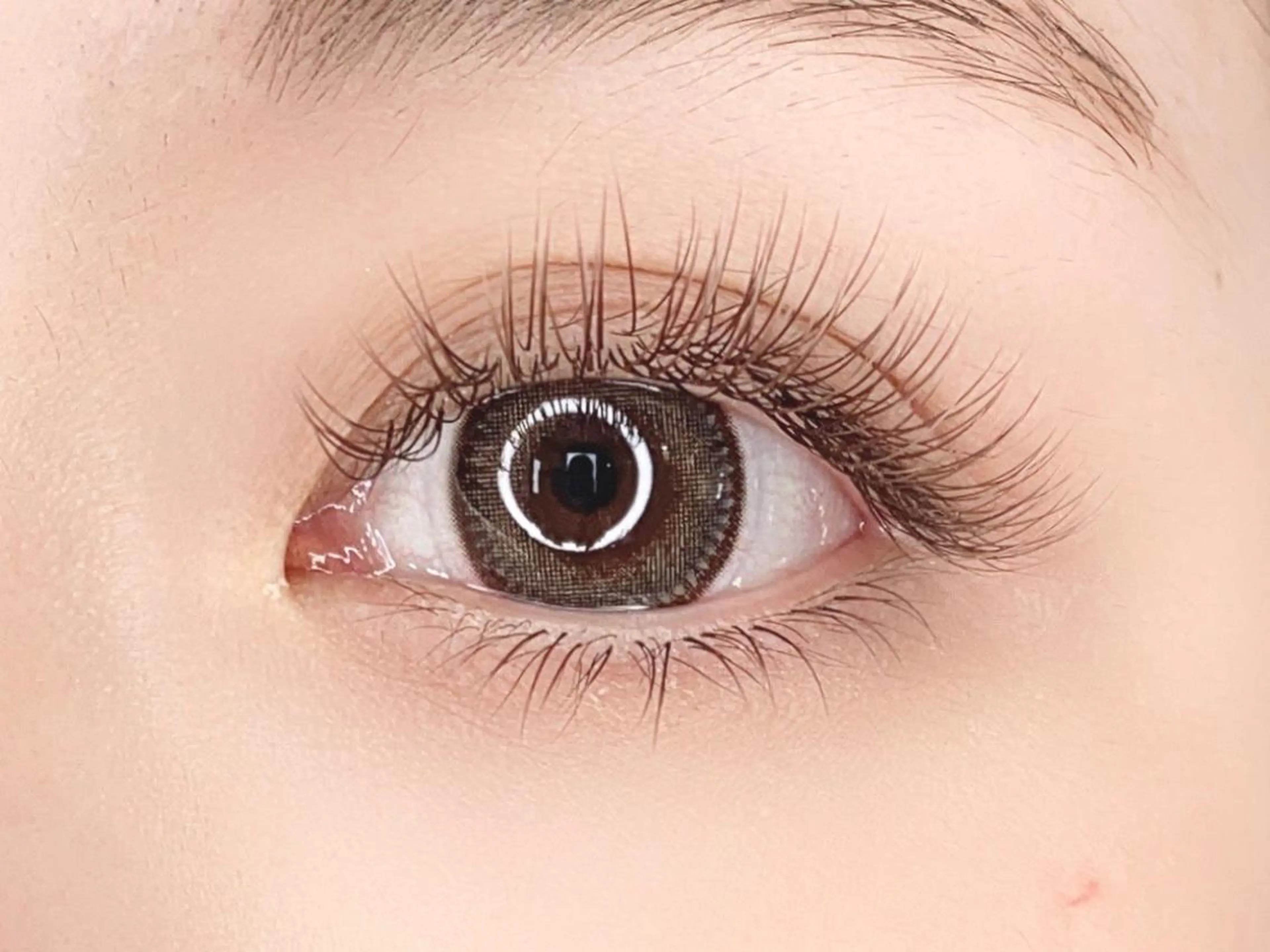 🤎ブラウンフラットラッシュ140本🤎の写真