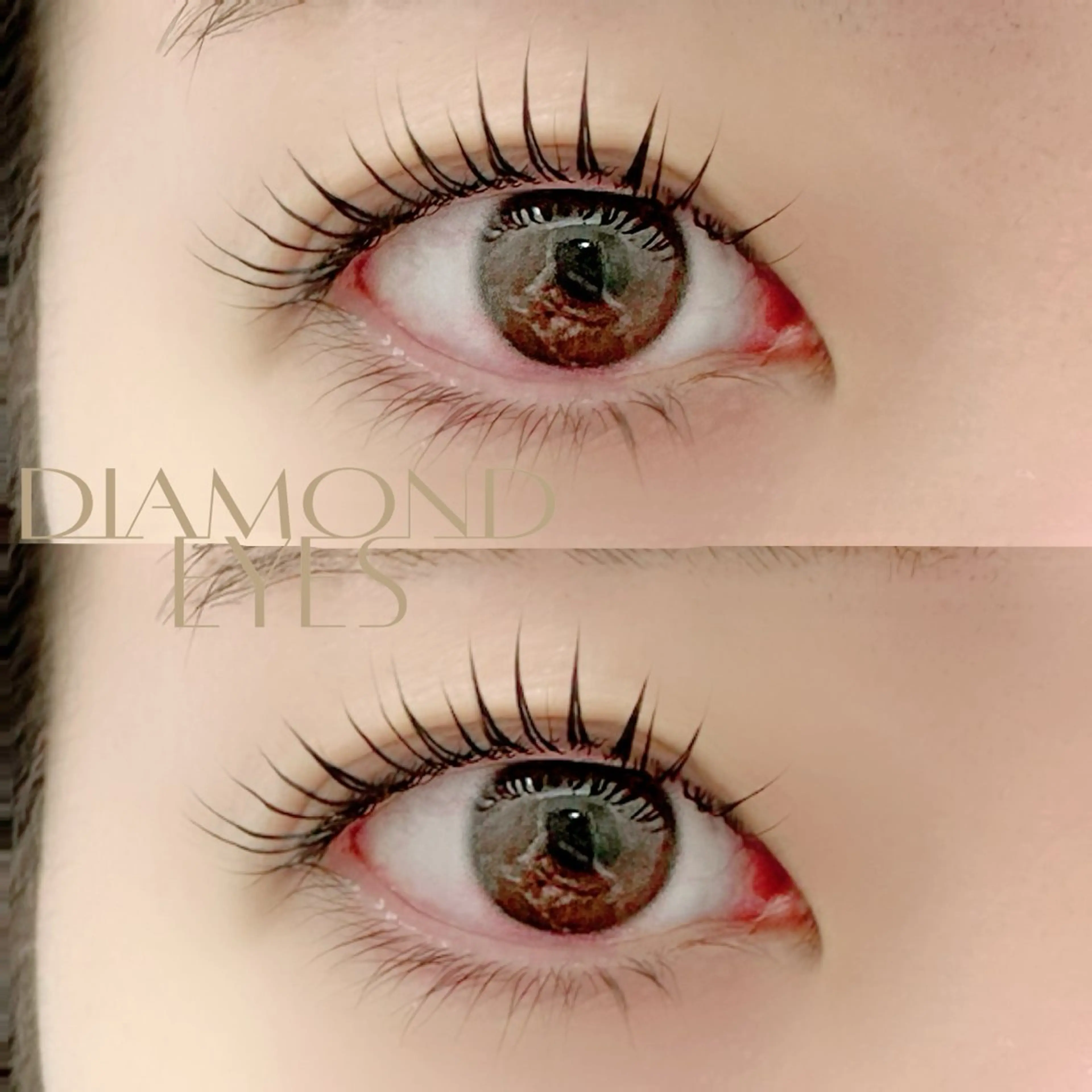 🐯ミニモ限定🐯期間限定価格🐯選べるラッシュリフト（まつげパーマ）¥7,370→¥4,990の写真