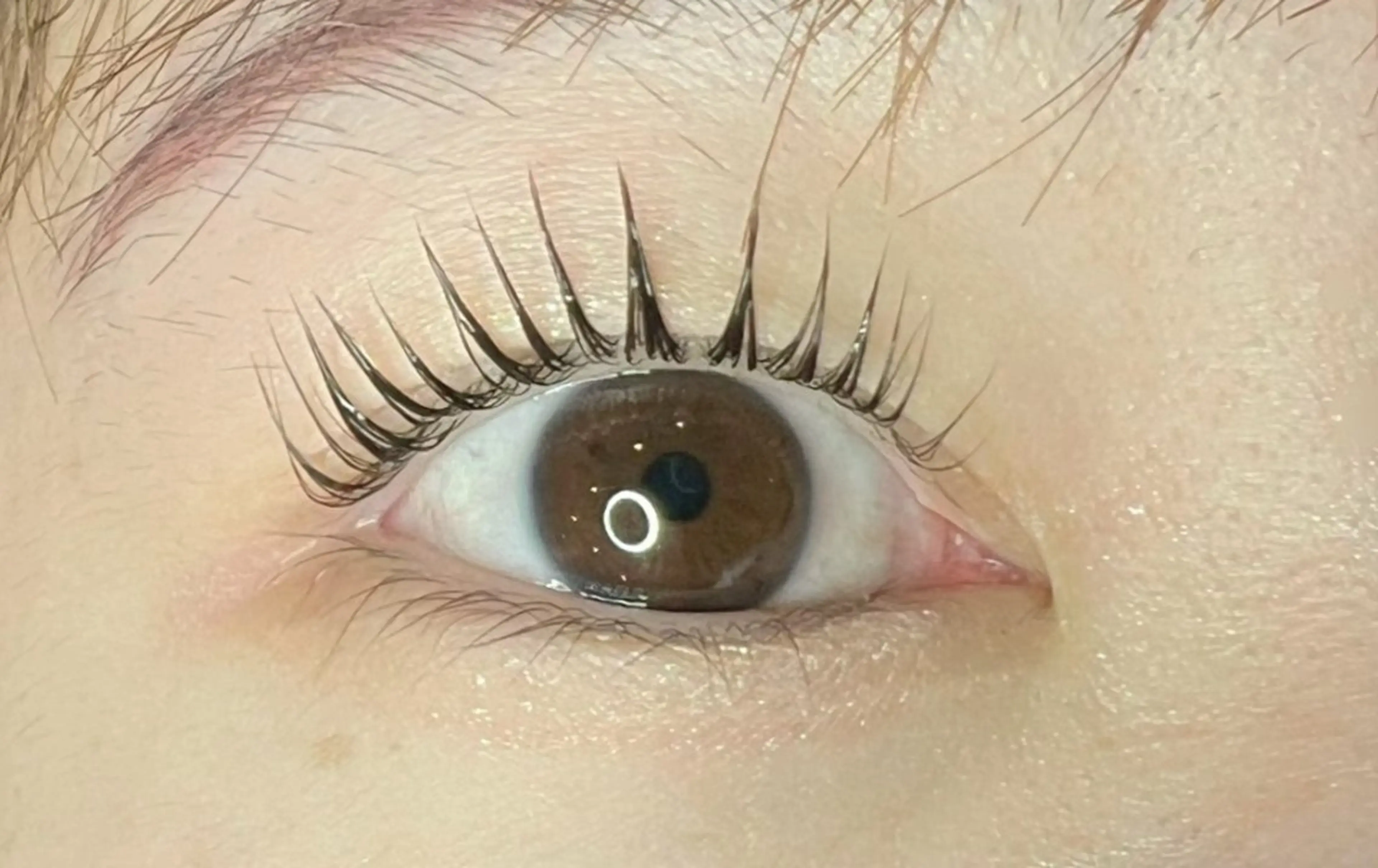 マツエク・マツパ 束感まつ毛 パリジェンヌラッシュリフト Millie ainee 店長 神のマツエク・マツパデザイン