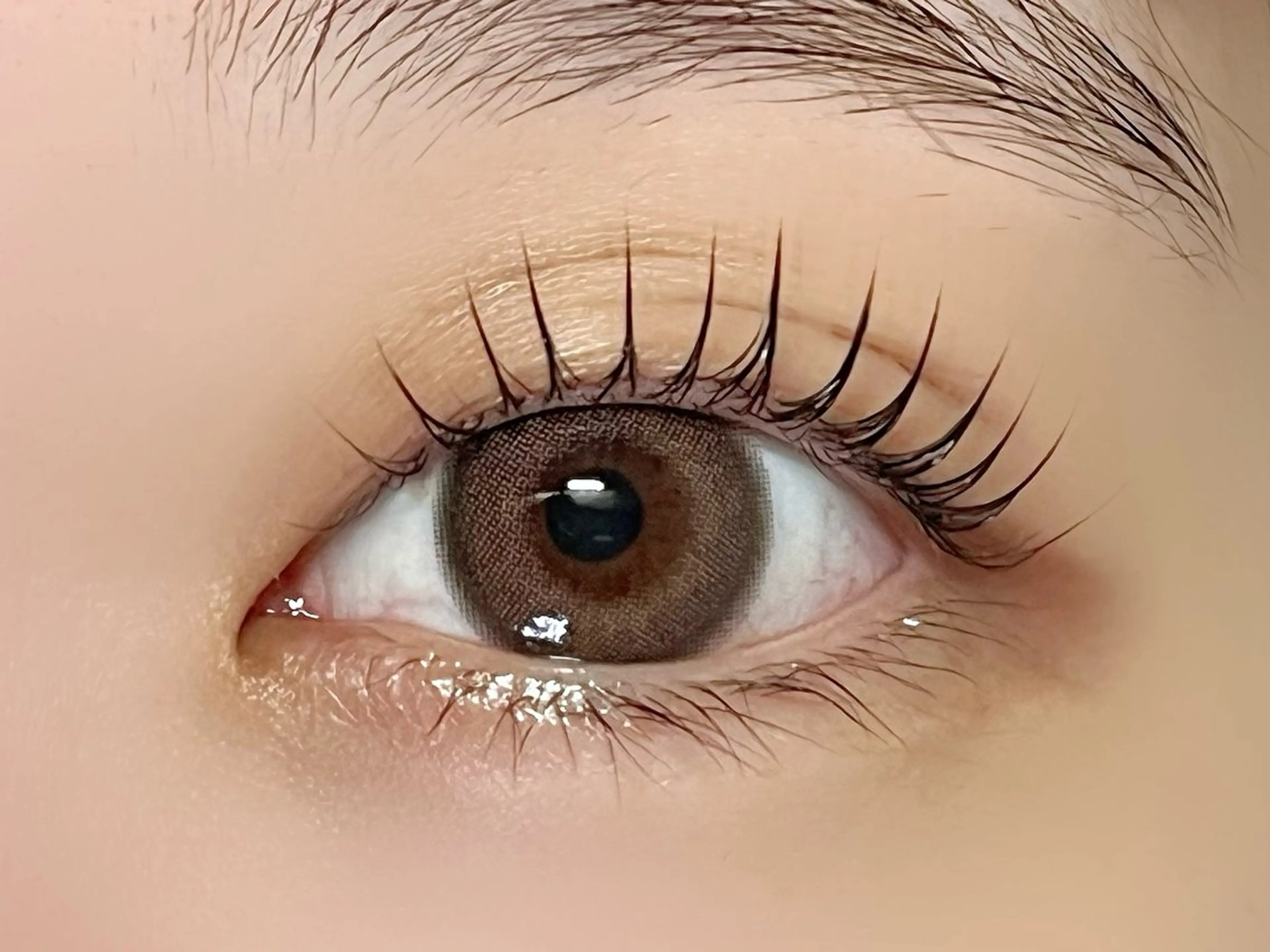 まつげパーマ🫧🩵✨《コーティング付き》の写真