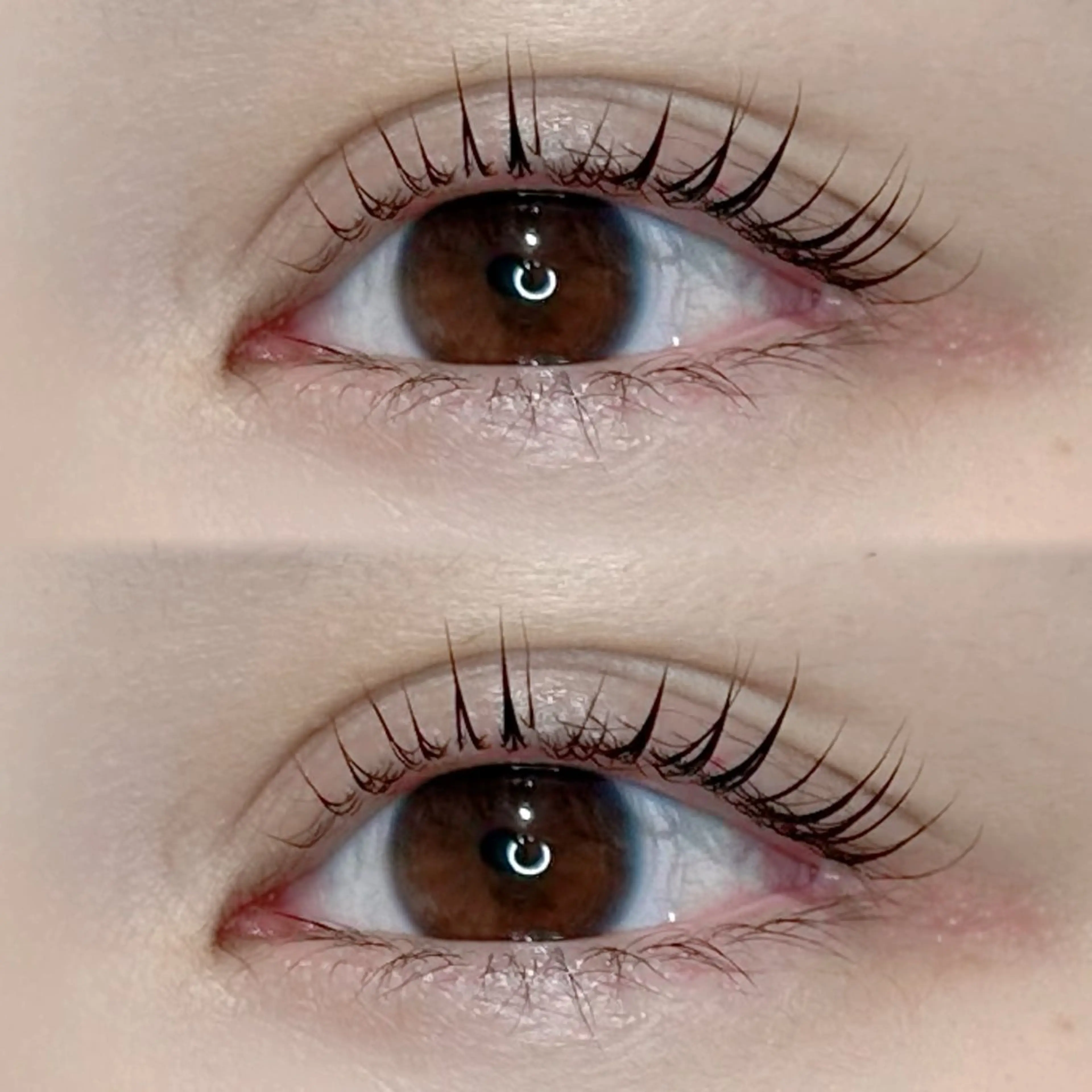 眉毛WAX×ケラチンラッシュリフト(美容液コーティング付)SETの写真