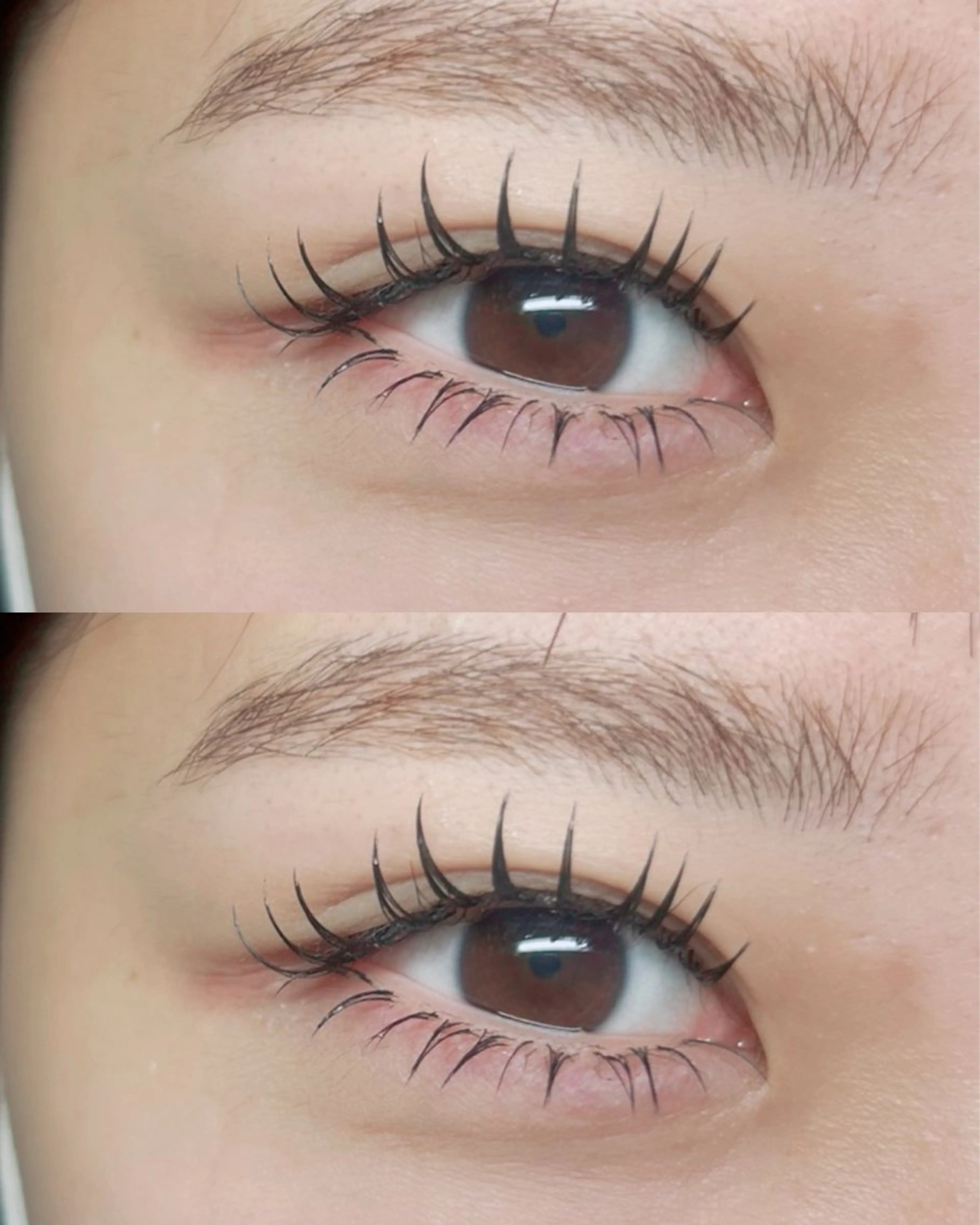 マツエク・マツパ マツエク Y.mako‪∗*ﾟ angelicaのマツエク・マツパデザイン