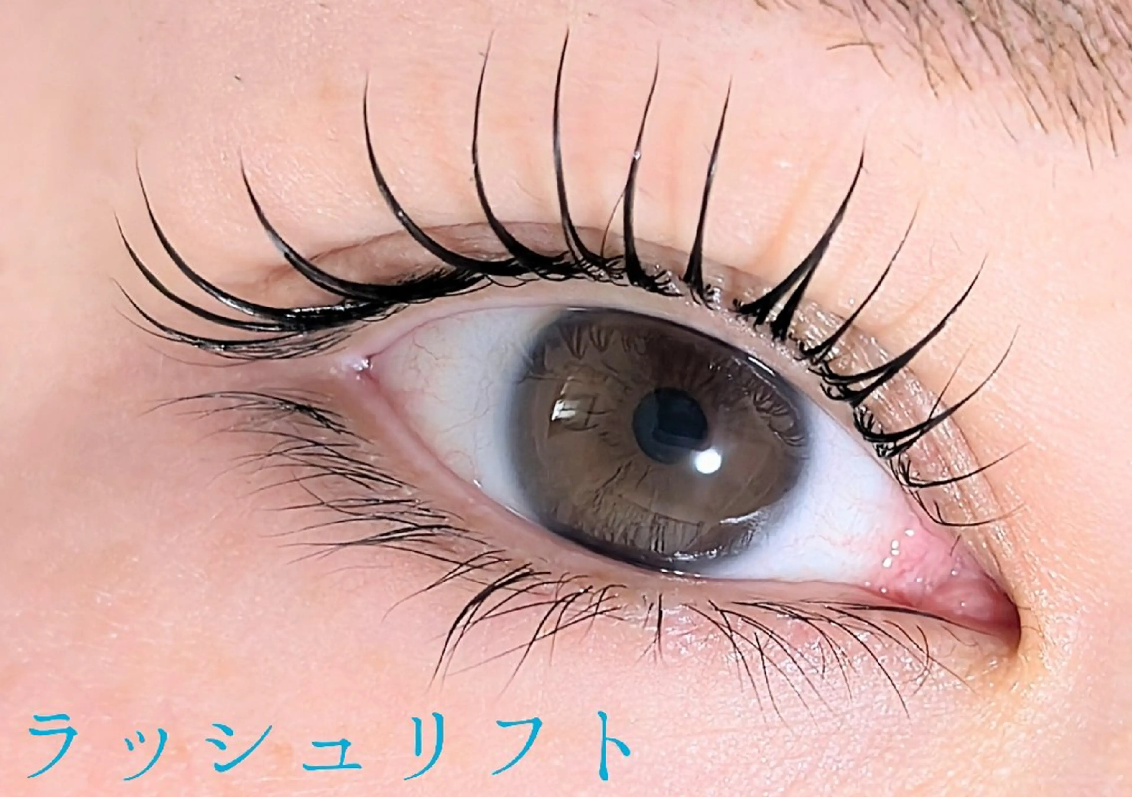 🎀ラッシュリフト/まつ毛パーマ🎀の写真