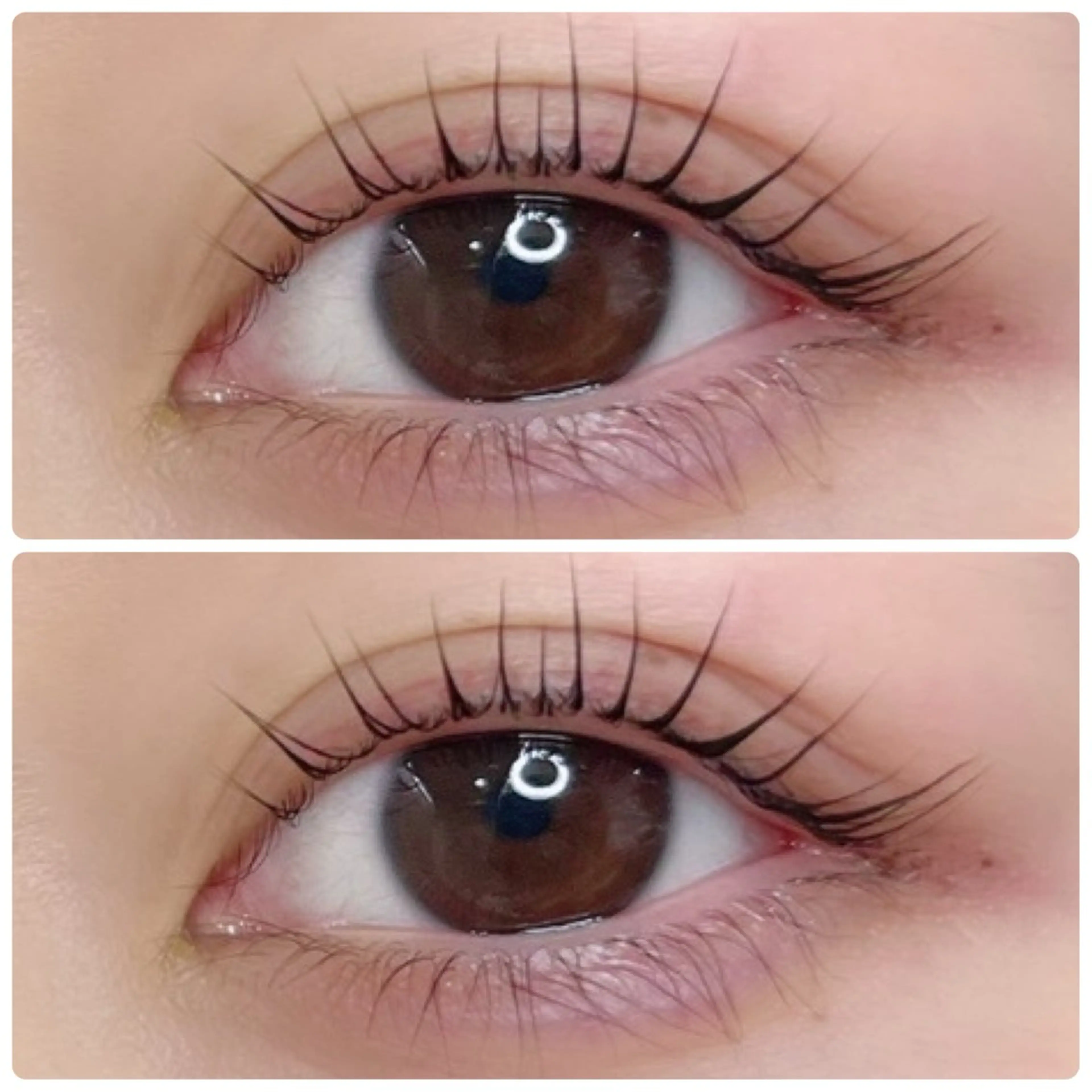 マツエク・マツパ 𓇼shiho𓇼 .のマツエク・マツパデザイン