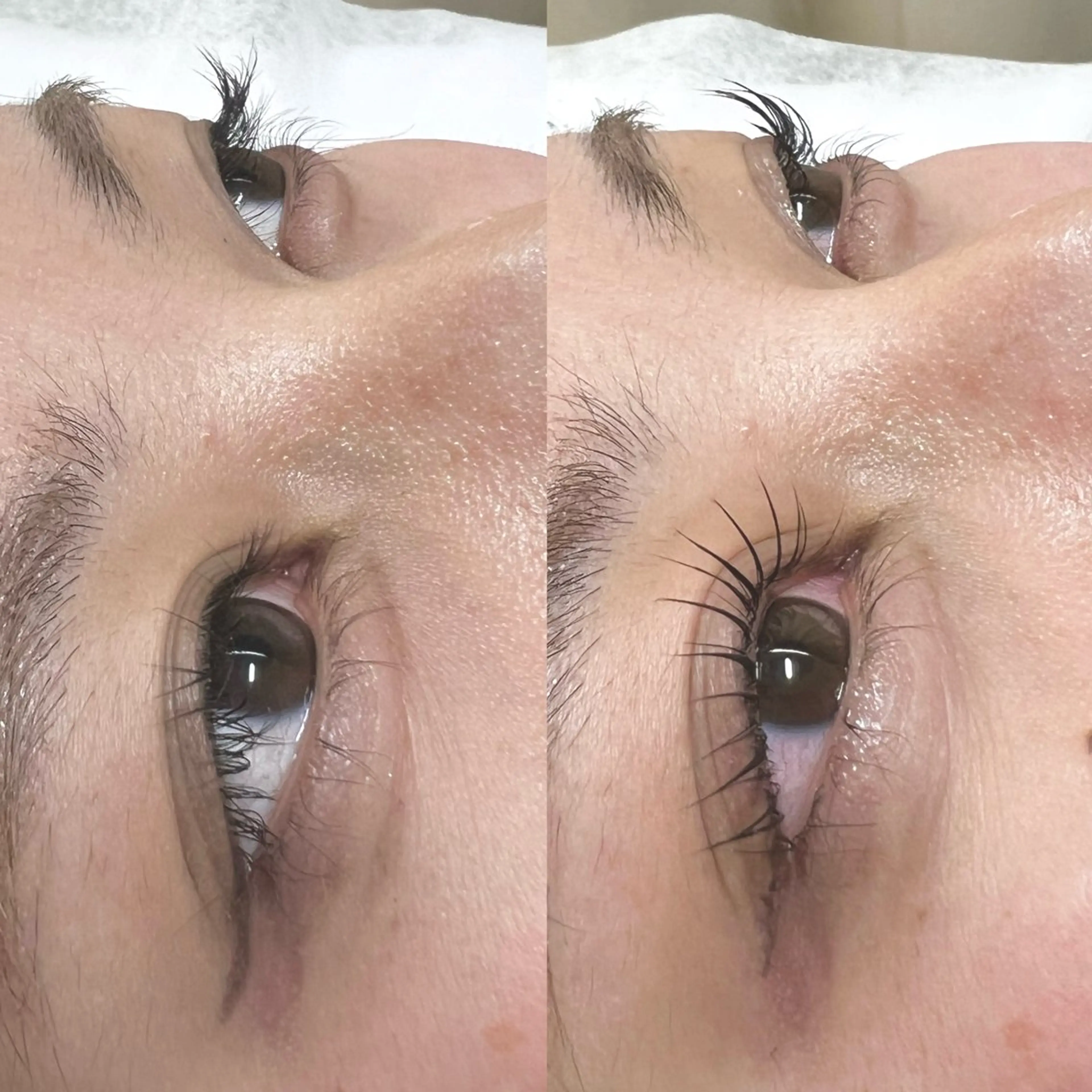 マツエク・マツパ パリジェンヌラッシュリフト lemmy タニフジのマツエク・マツパデザイン