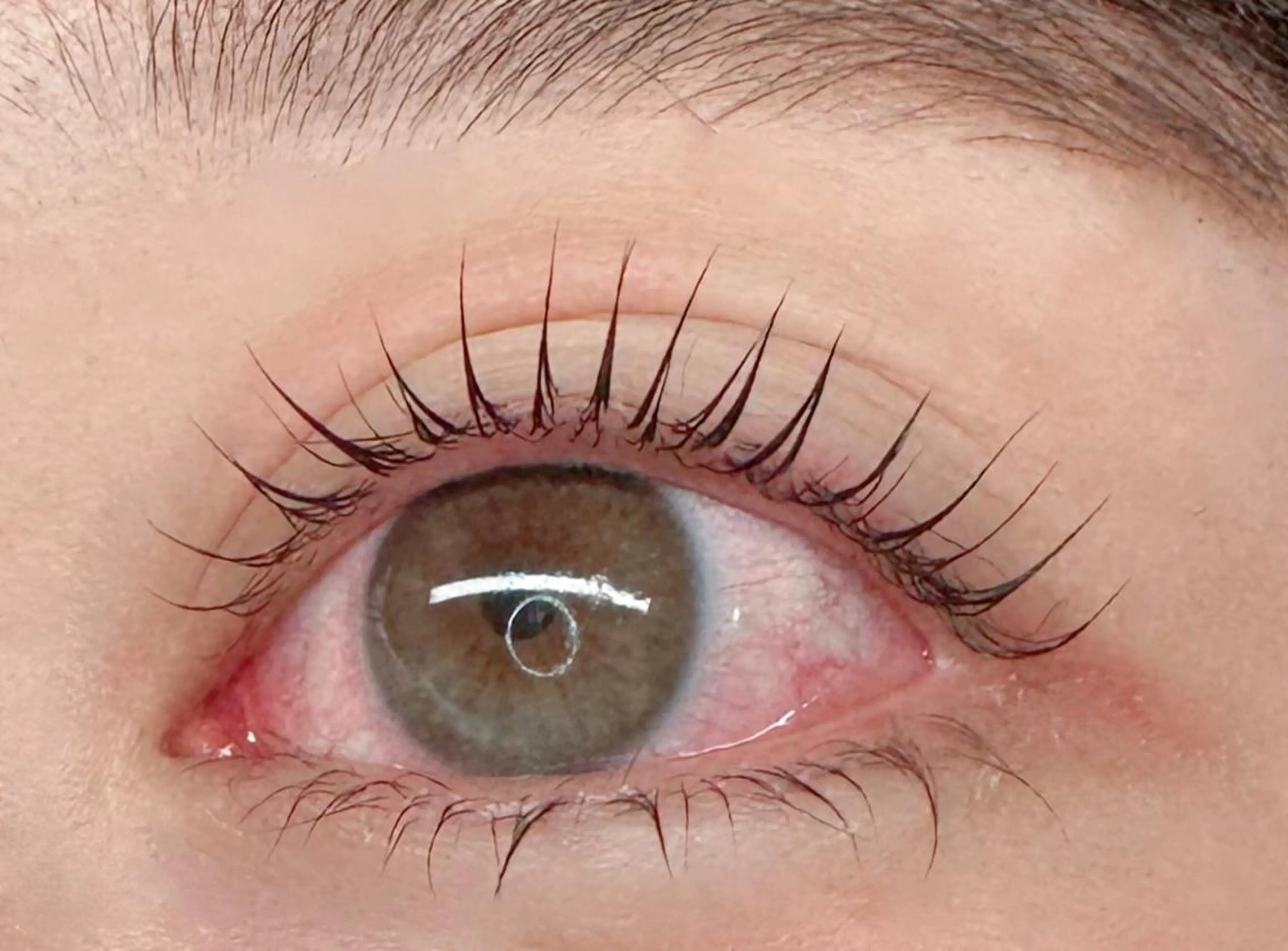 🌸【新規/練習モデル】🌸   👀パリジェンヌラッシュリフト(上)💖✨の写真