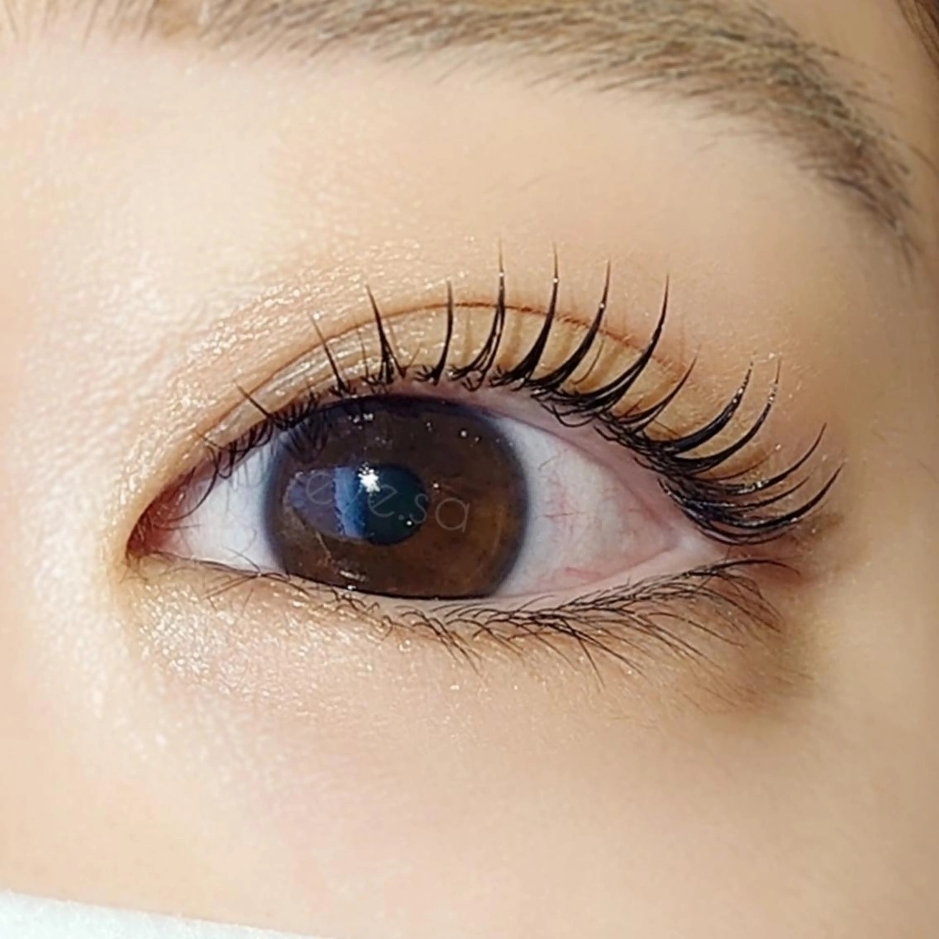 マツエク・マツパ まつげパーマ マツパ さ とうのマツエク・マツパデザイン