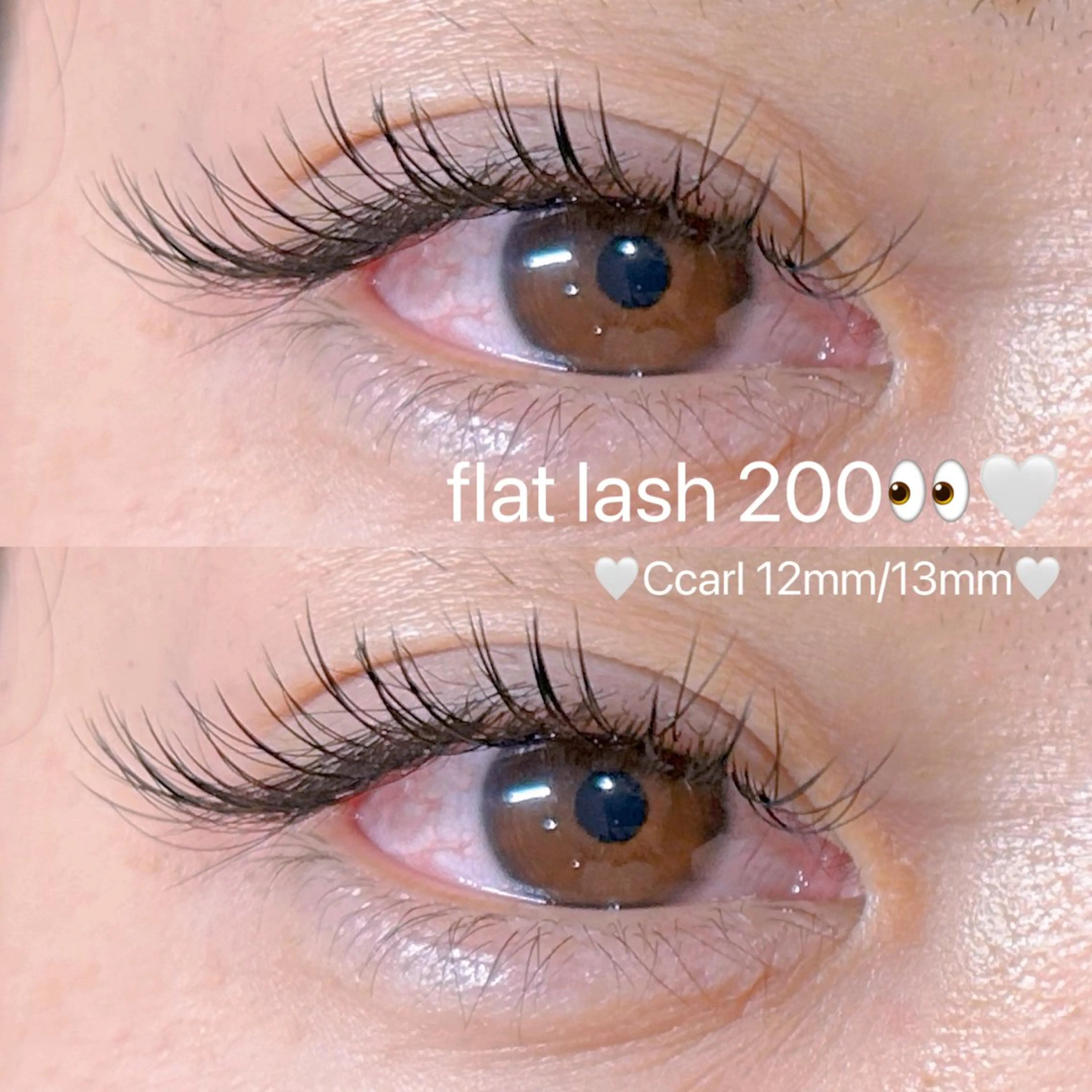 LEDフラットラッシュ付け放題👀🤍の写真