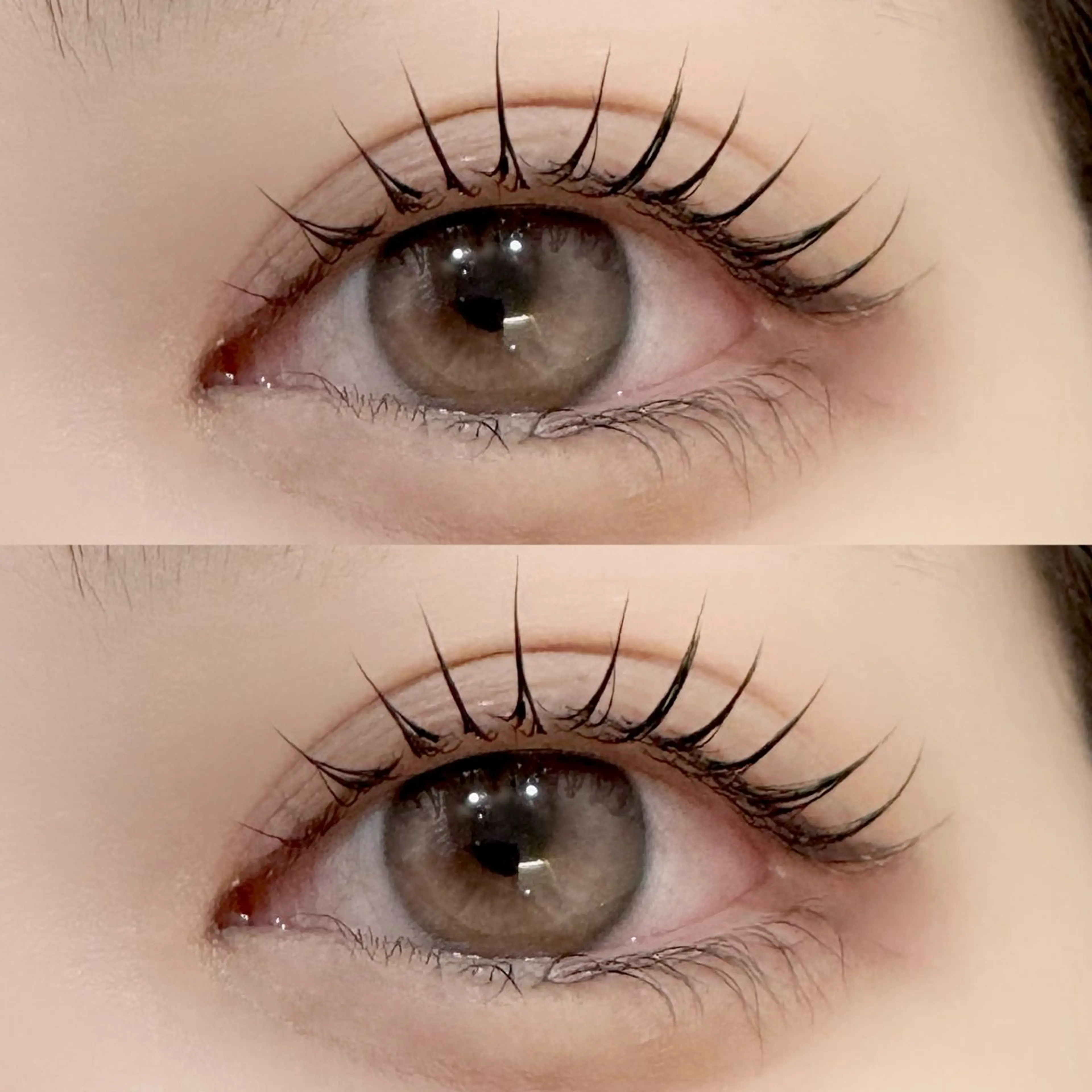 【♡選べるまつ毛パーマ♡】🎀アイシャンプー&トリートメント付き🎀の写真