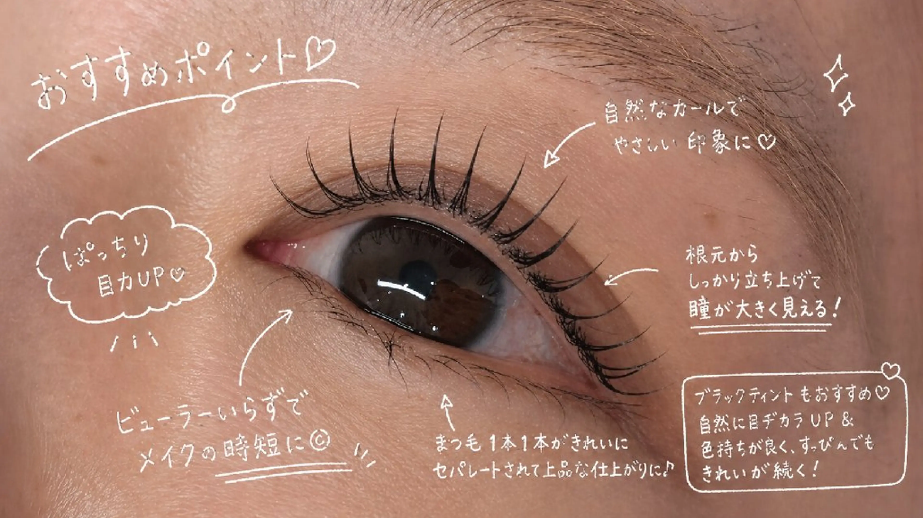 マツエク・マツパ elio HITOMIの眉毛・アイブロウイメージ