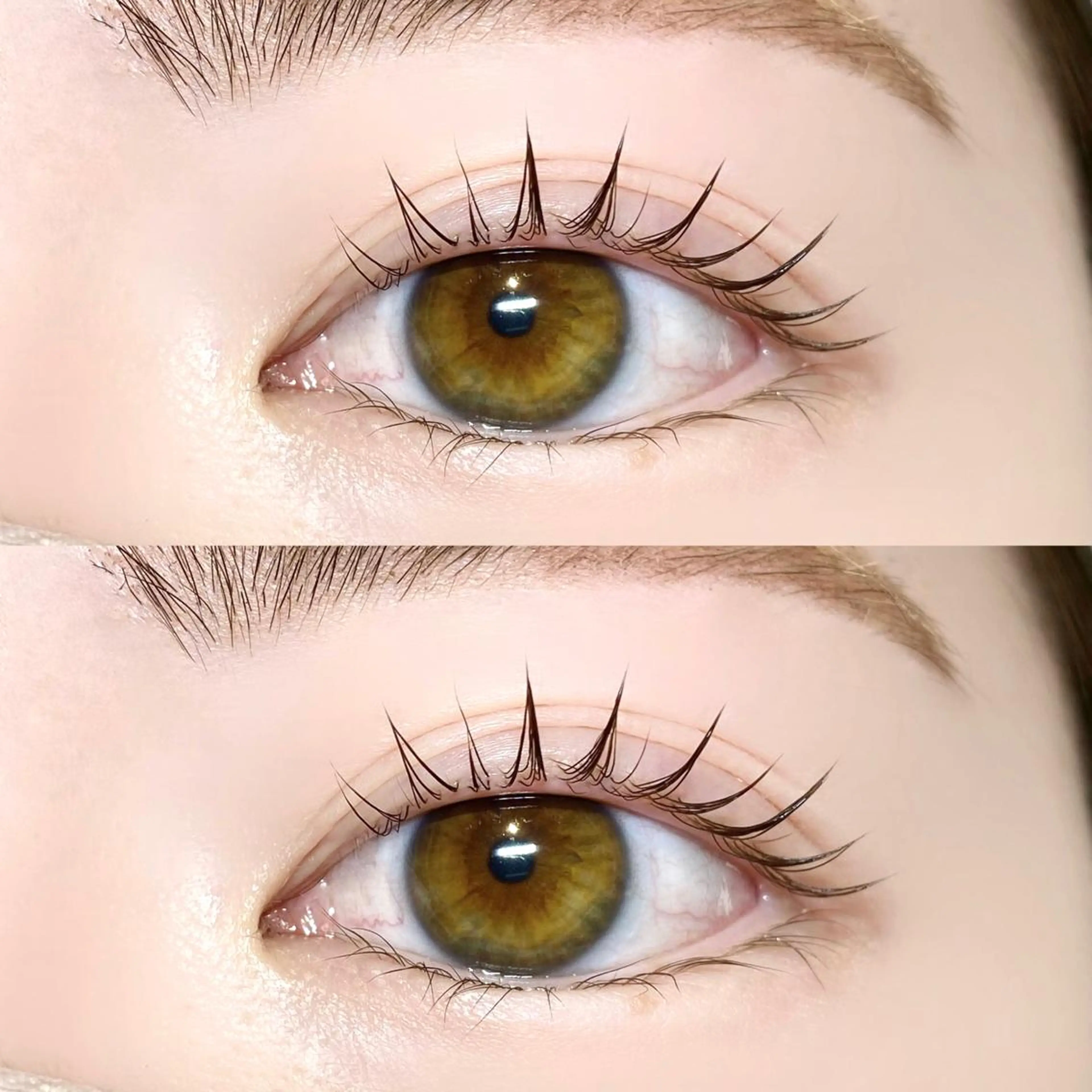 13日限定🉐《パリジェンヌラッシュリフト+トリートメント付き🧴》の写真