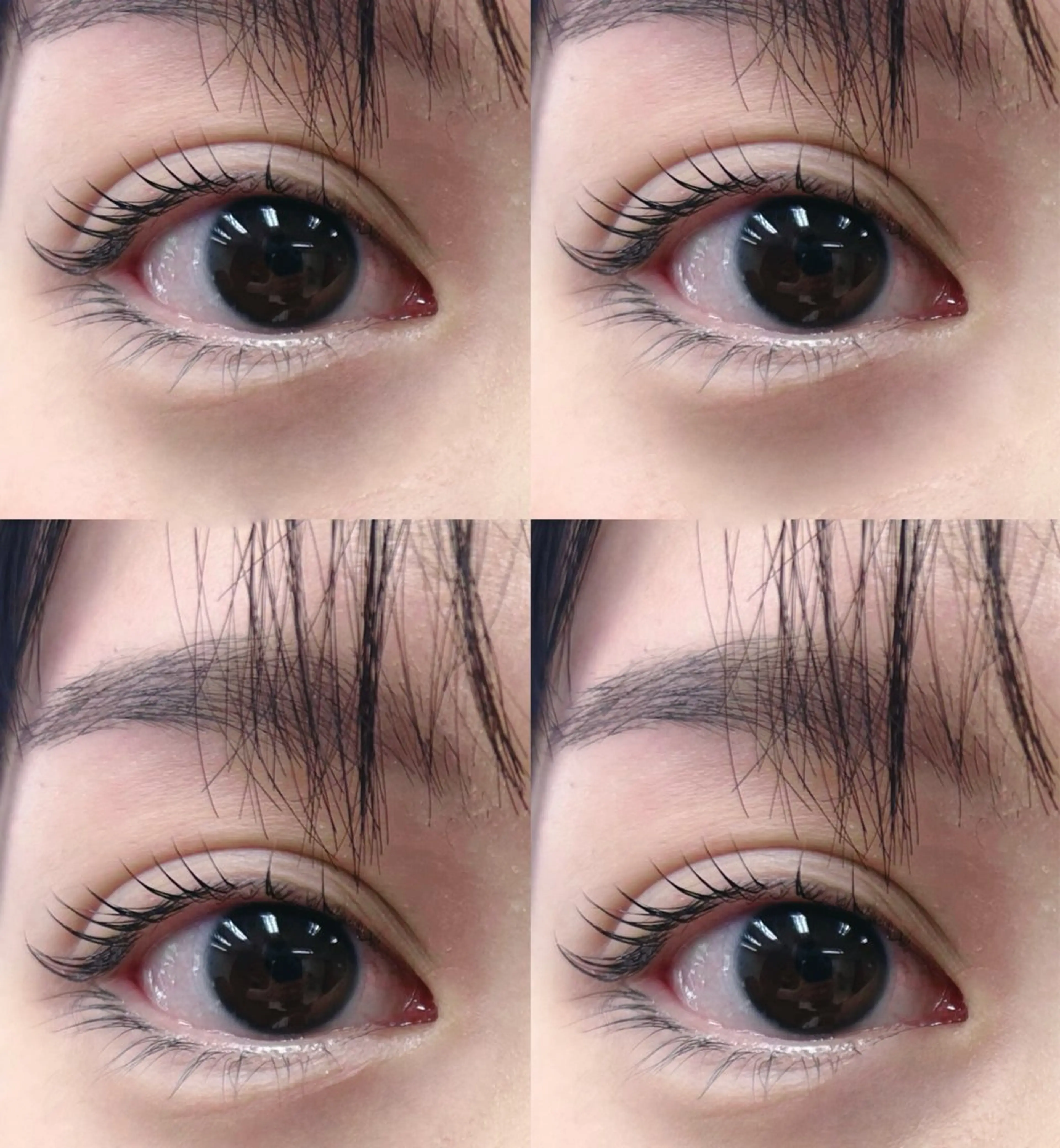 マツエク・マツパ ナチュラル amii横浜🐈🐾 山口のマツエク・マツパデザイン