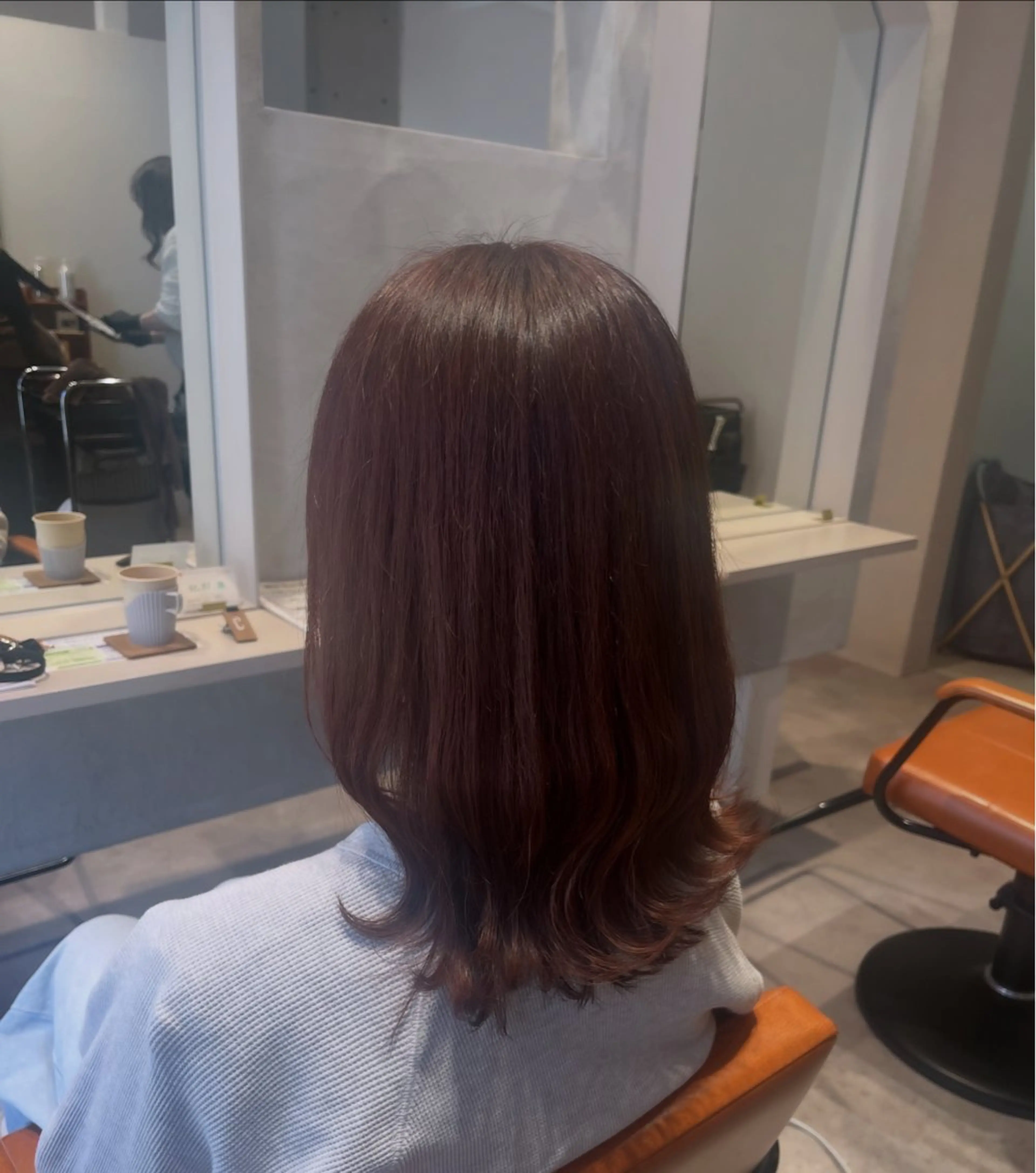 ワンカラー　6930円​〜​の写真