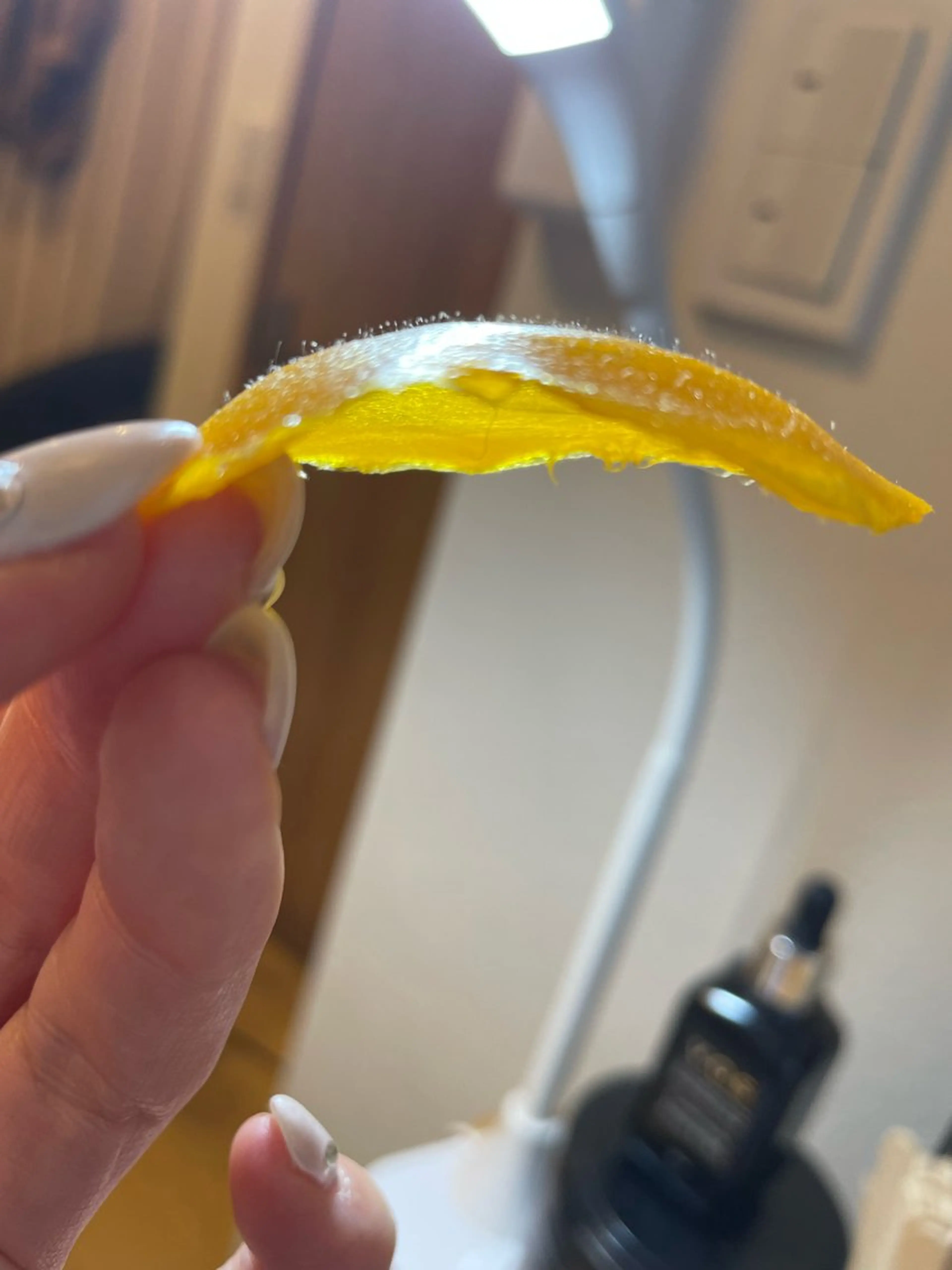 emi ...の眉毛・アイブロウイメージ