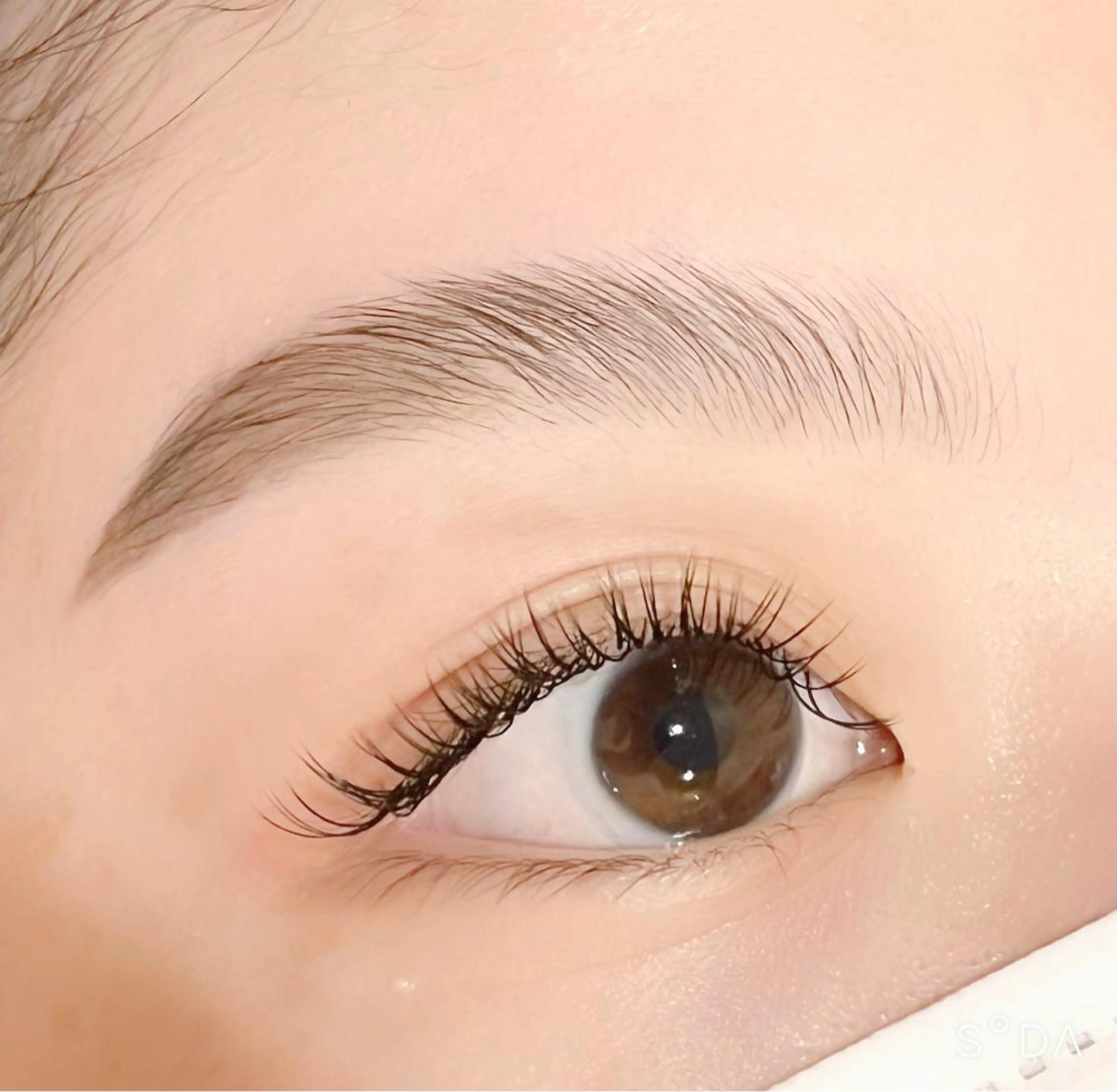 🎟️ハリウッドブロウリフト🎟️メイク仕上げ付き✨の写真