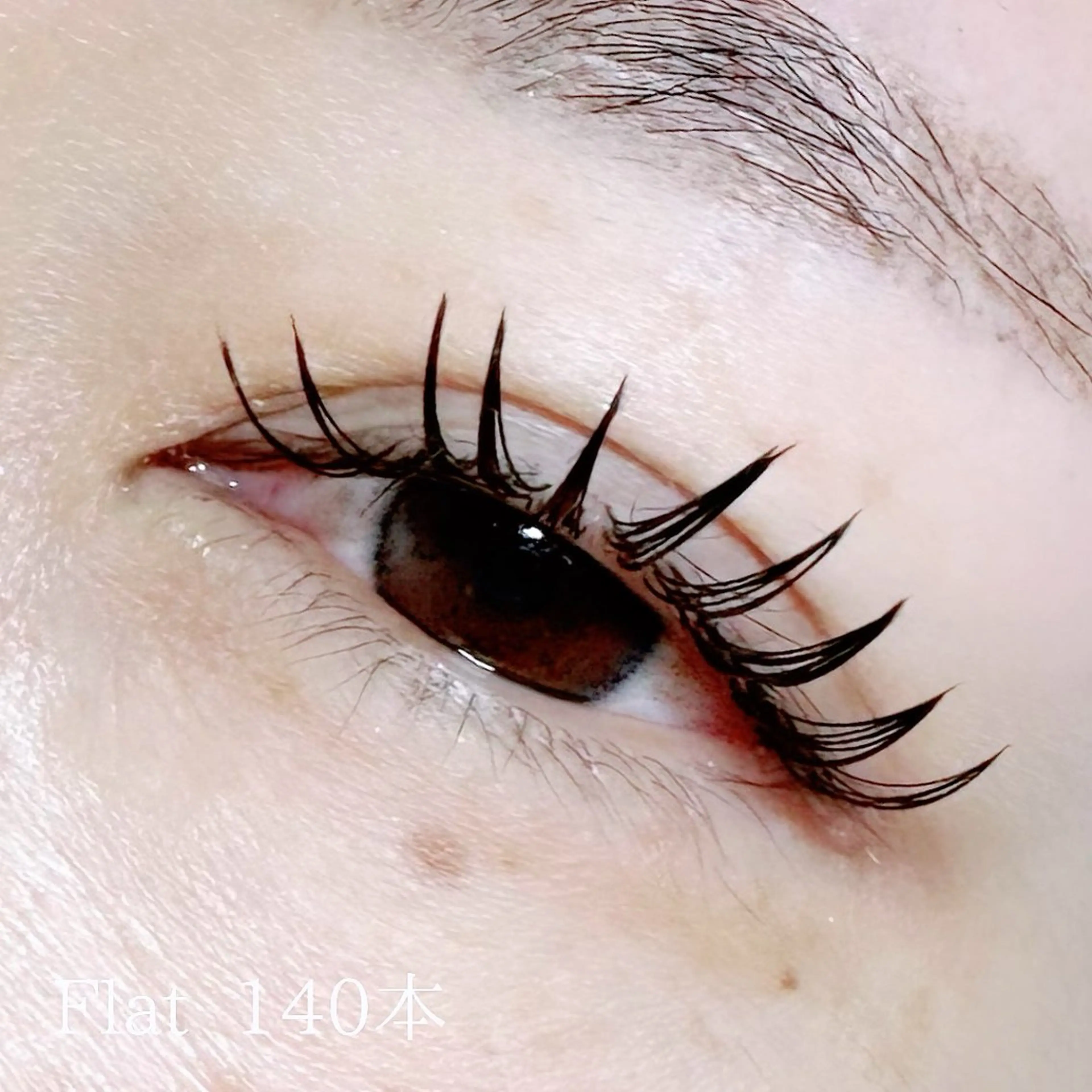 フラットラッシュ140本の写真