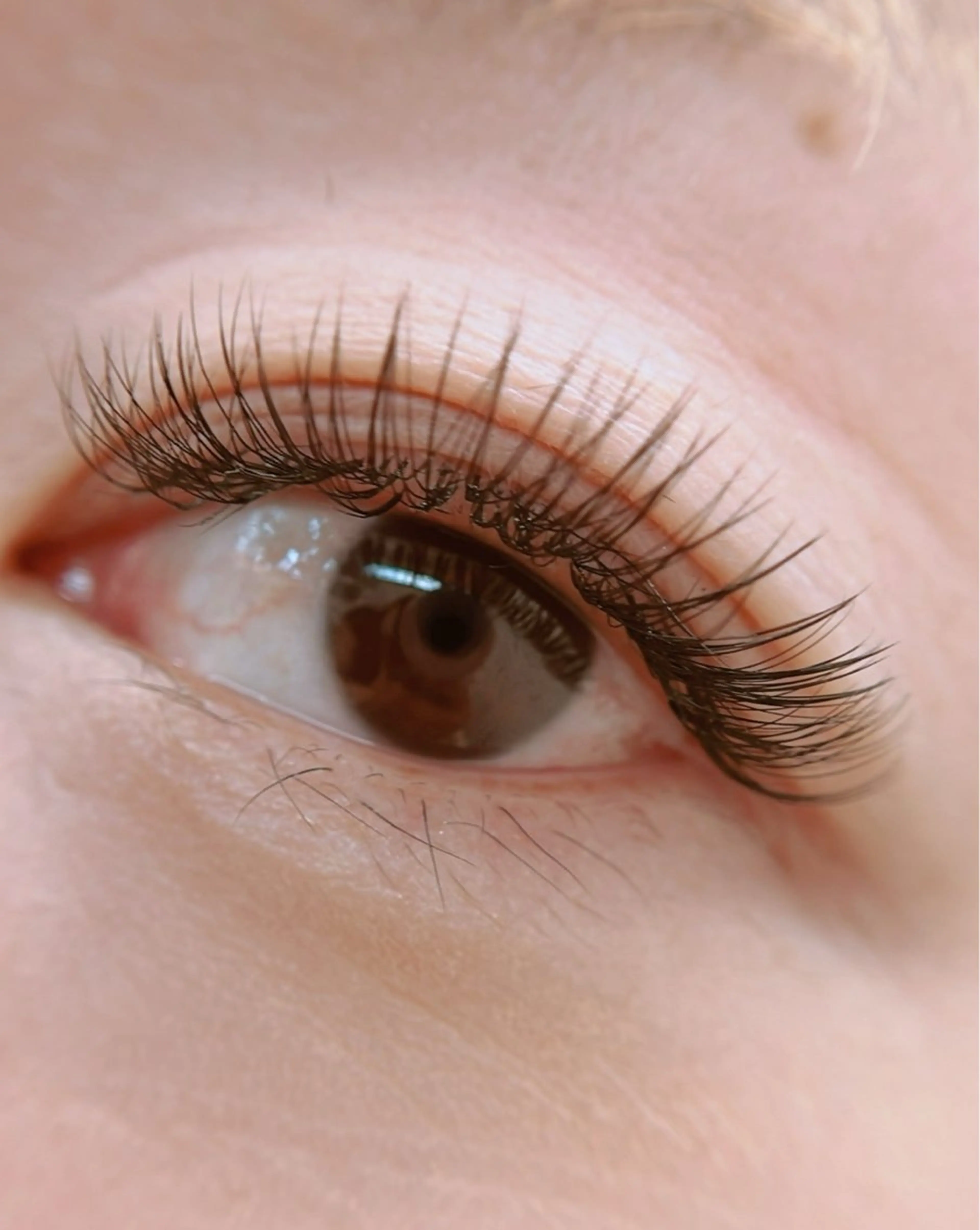 ボリュームラッシュ100束/他店オフ無料/アイシャンプー付きの写真