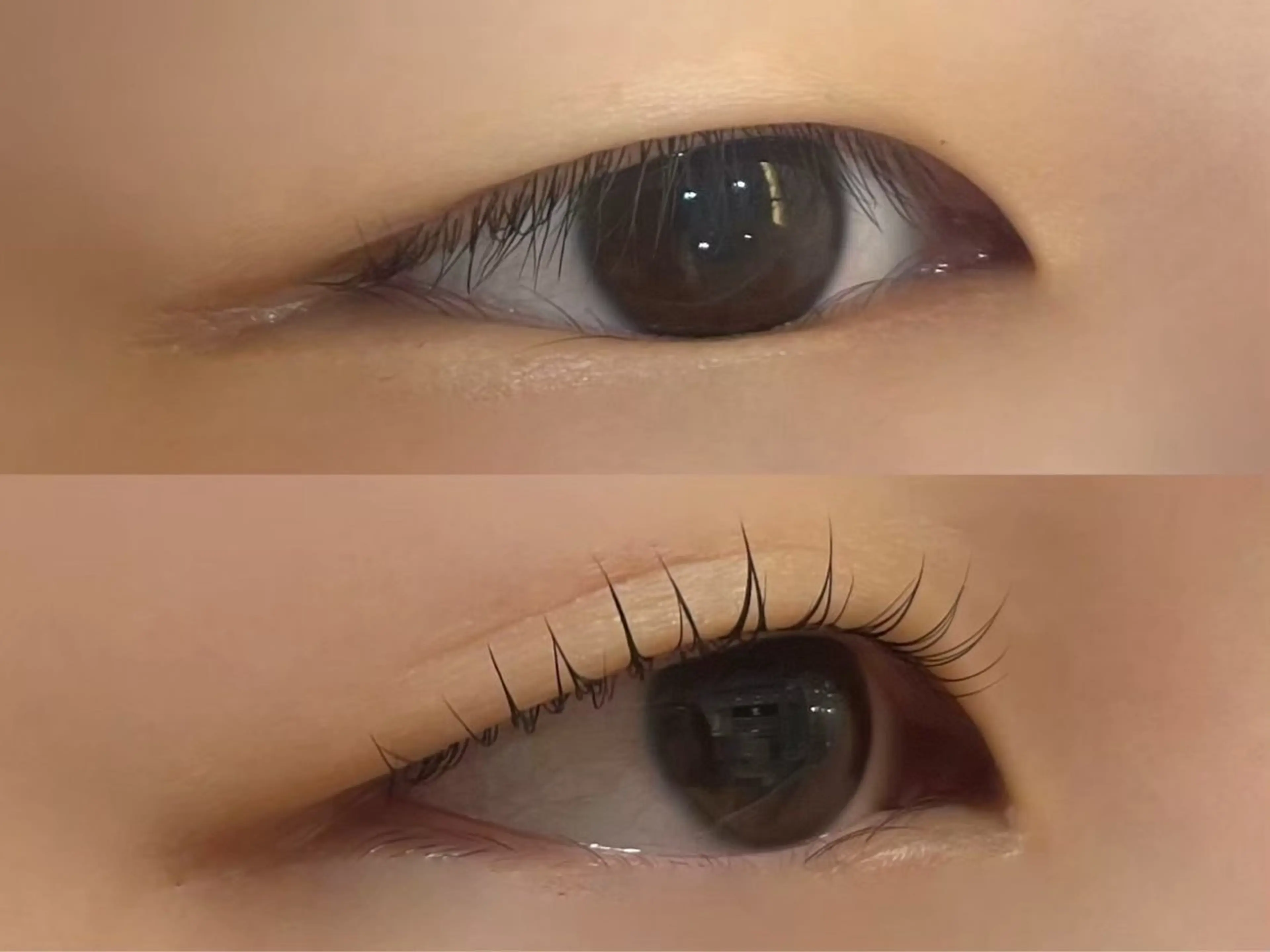 マツエク・マツパ 岡本葵子カットモデル ┊束感マツエクのマツエク・マツパデザイン