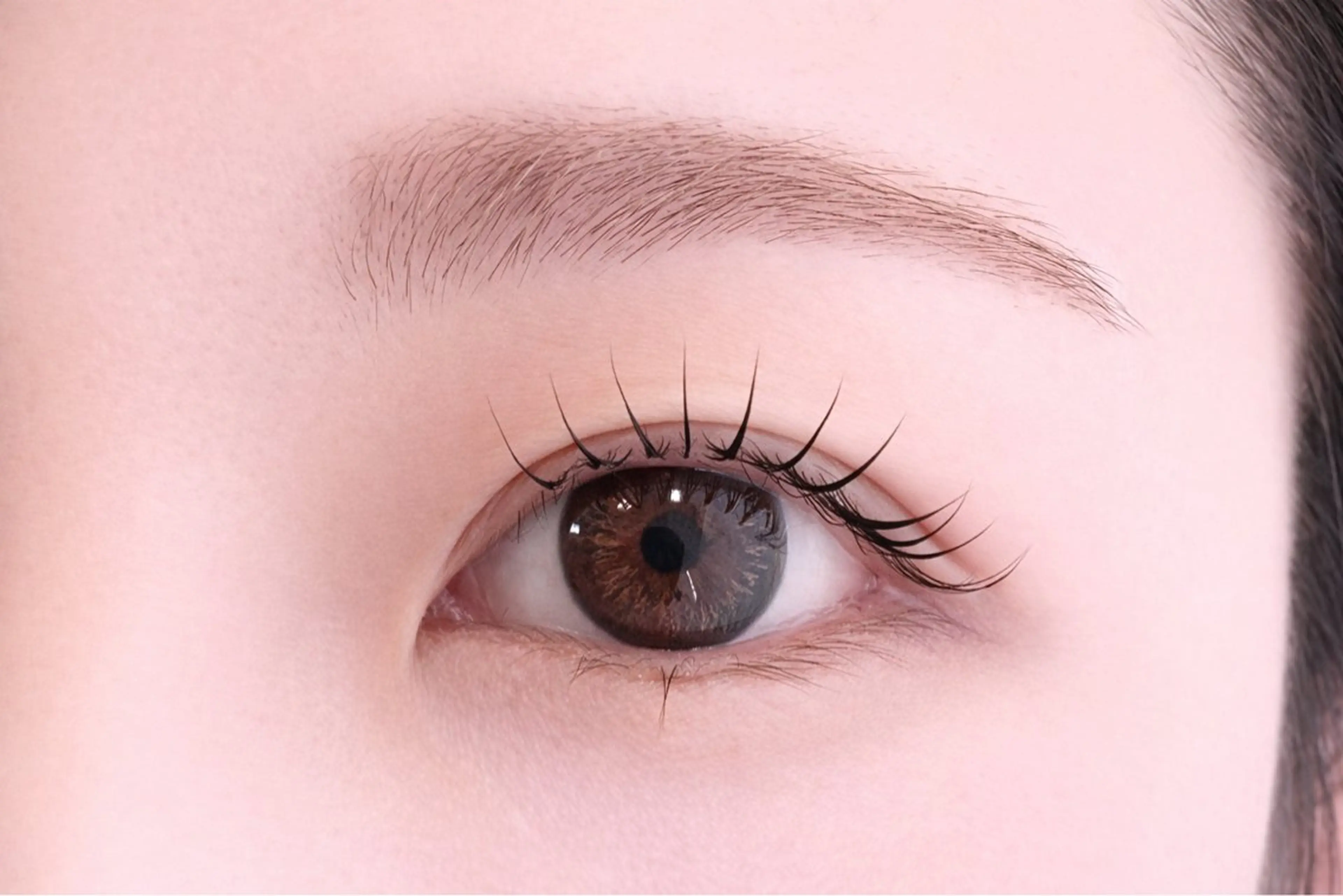 似合わせラッシュリフト【アイシャンプー・トリートメント・コーティング仕上げ】の写真