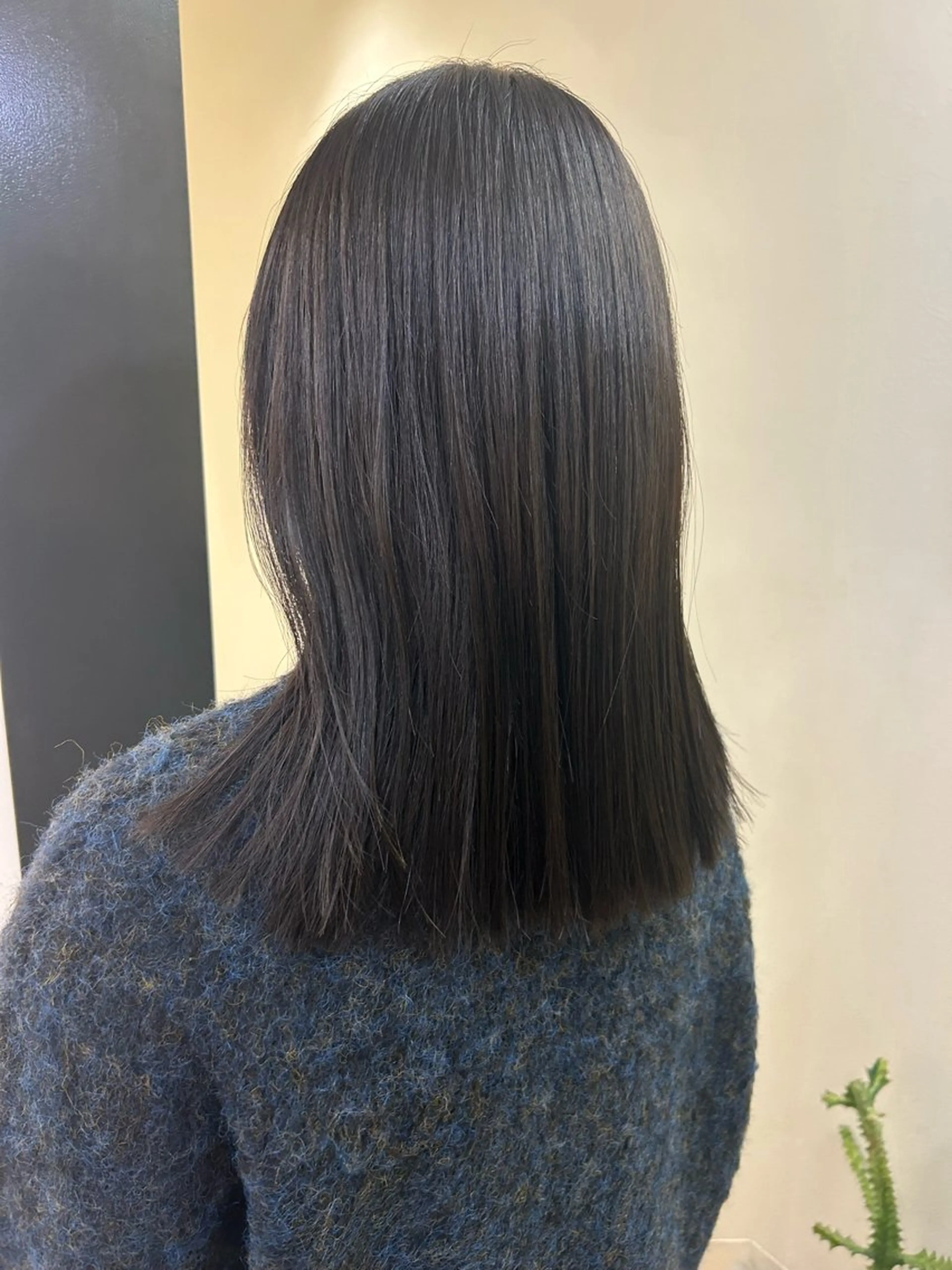 セミロング カラー アッシュ ベージュカラー 透明感カラー hub hair レイヤー/透明感のヘアスタイル