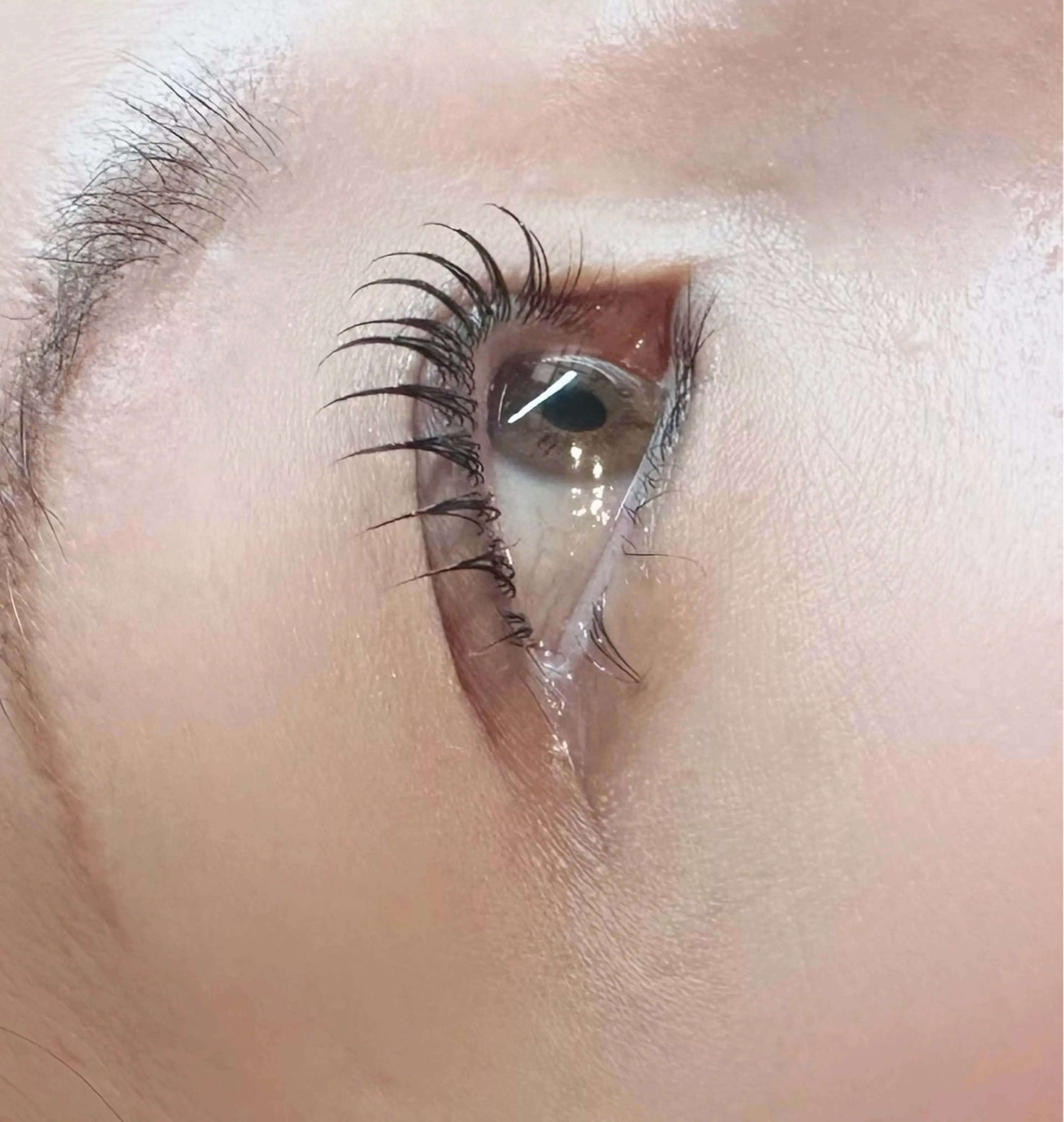 ラッシュリフト/まつ毛パーマ（ｱｲｼｬﾝﾌﾟｰ•ﾄﾘｰﾄﾒﾝﾄ込）の写真