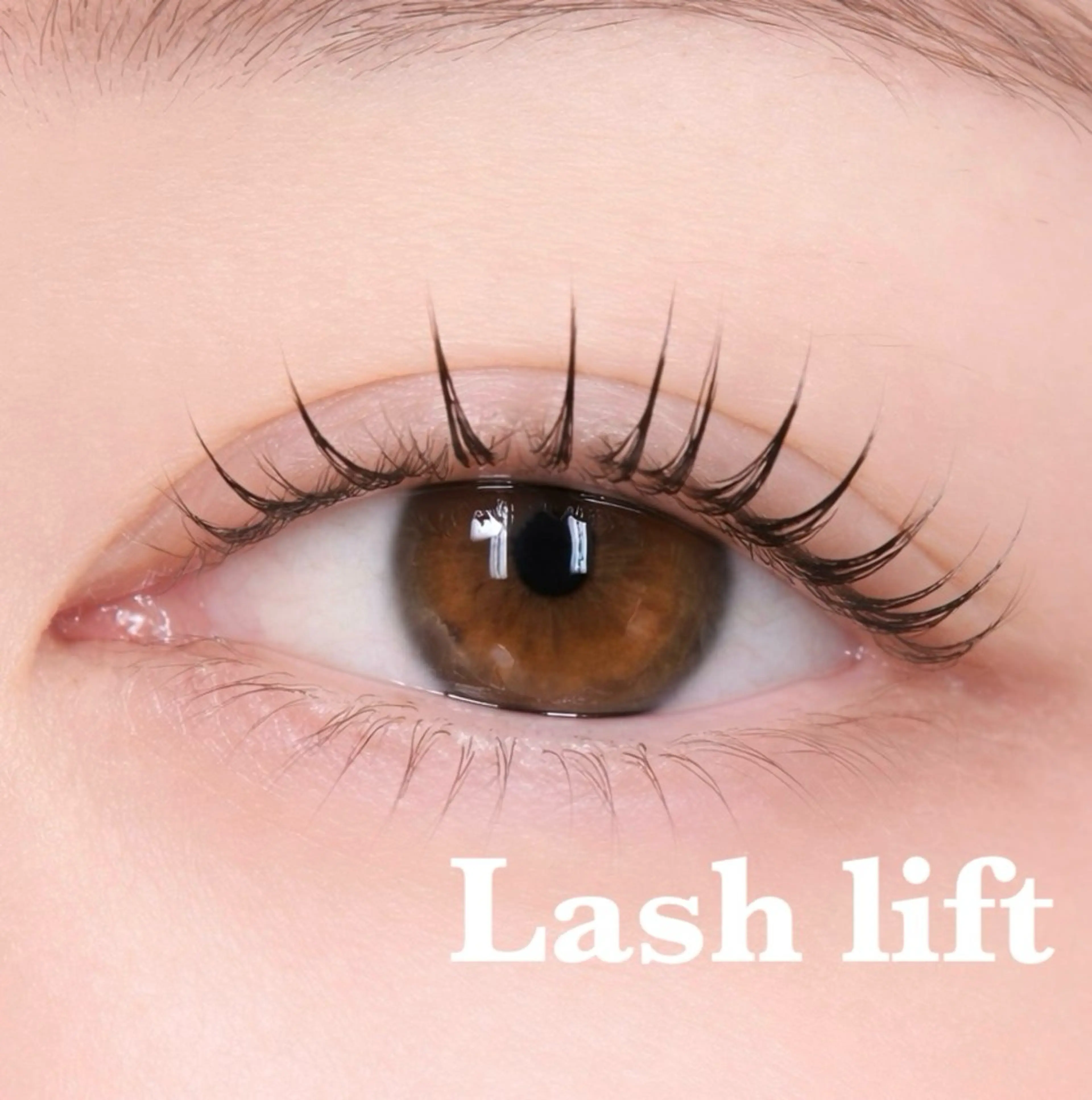 韓国風束感まつ毛パーマ💛の写真