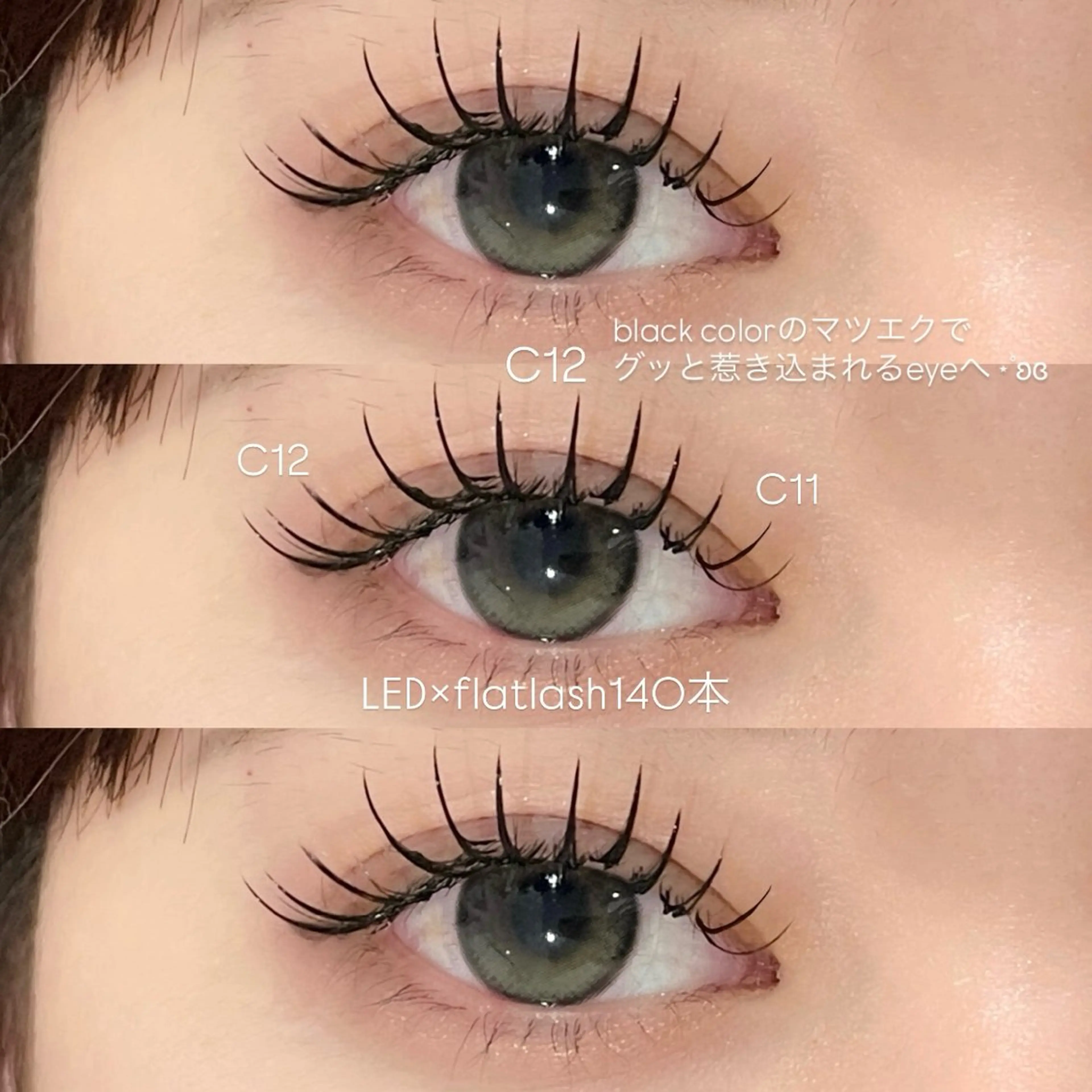 【新規】staff人気🌟ナチュラルバインド100束／オフ希望の方+¥500の写真