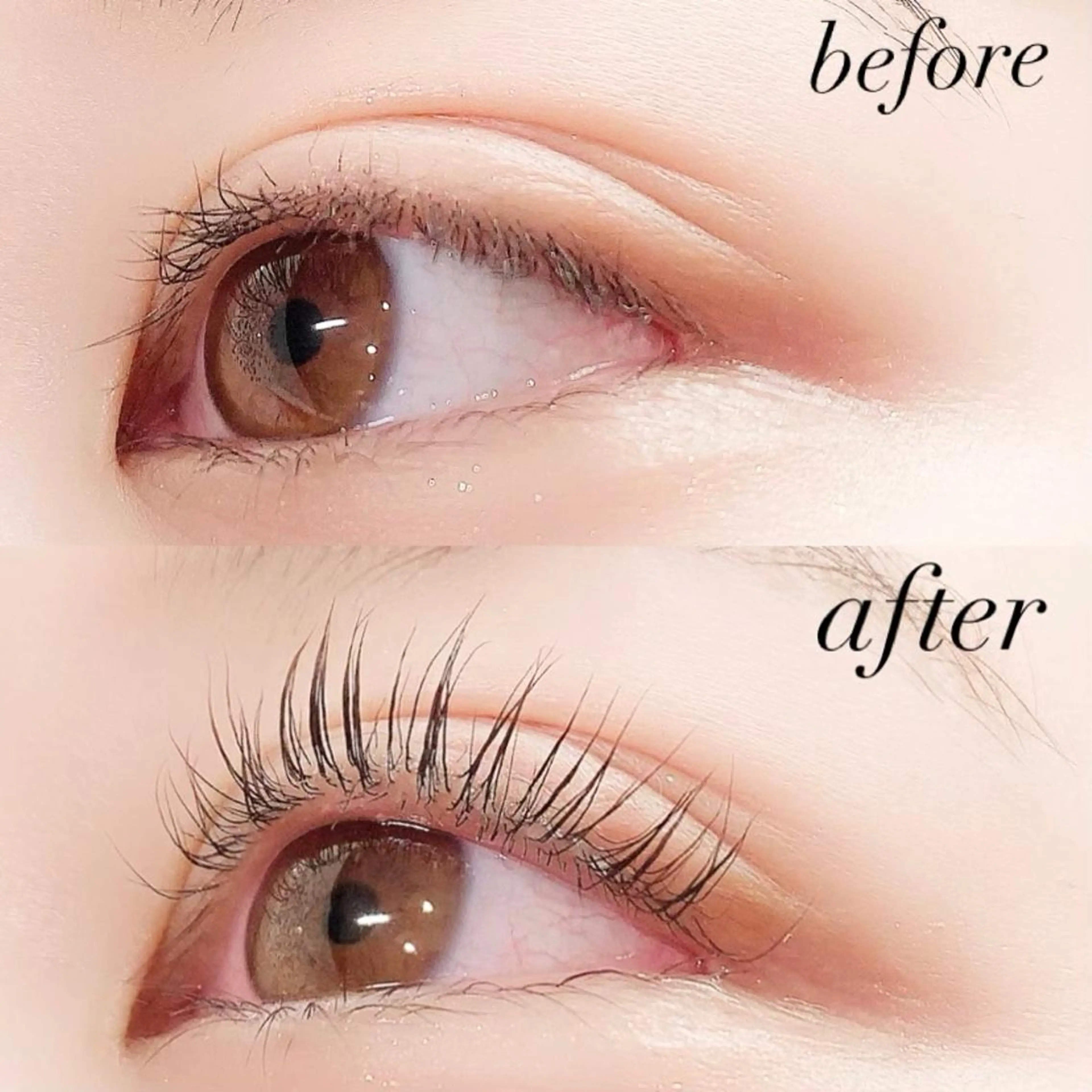 マツエク・マツパ まつげパーマ マツパ Lanhr所属・【Lanhr】 🕊aya🕊のマツエク・マツパデザイン