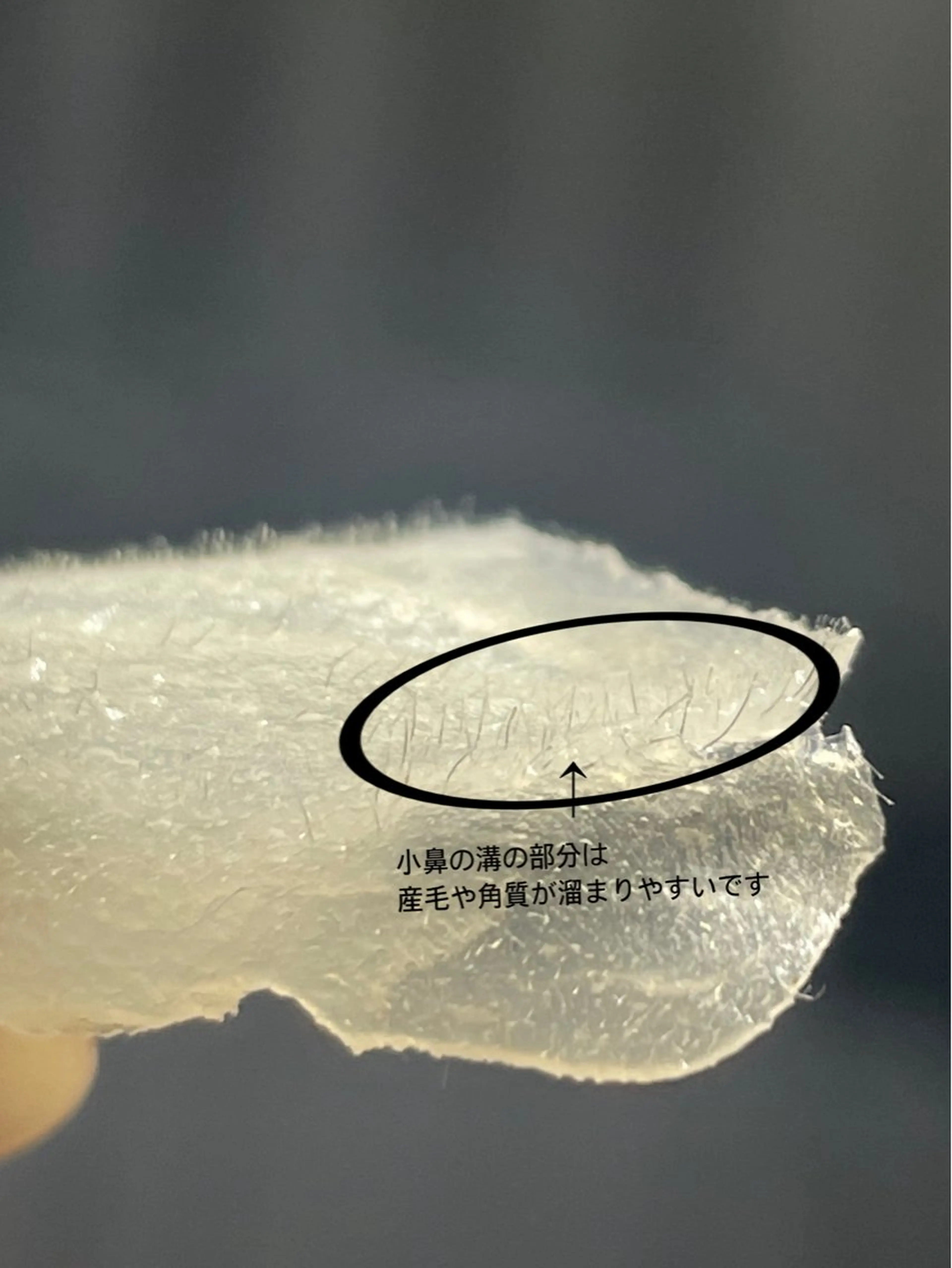 メンズ eclipse eyelashのマツエク・マツパデザイン