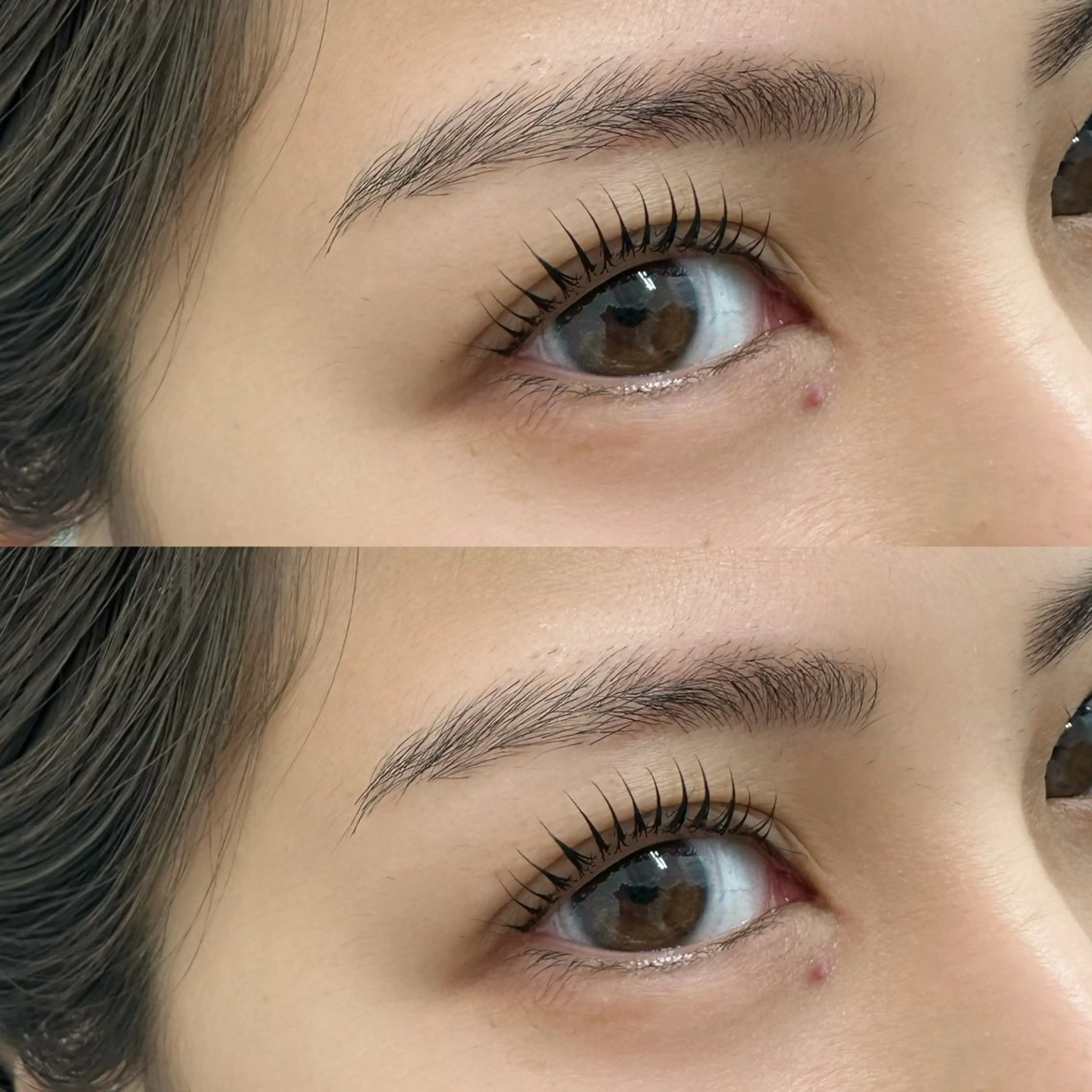 【🌸3月限定メニュー🩷】パリジェンヌorまつげパーマ✨の写真