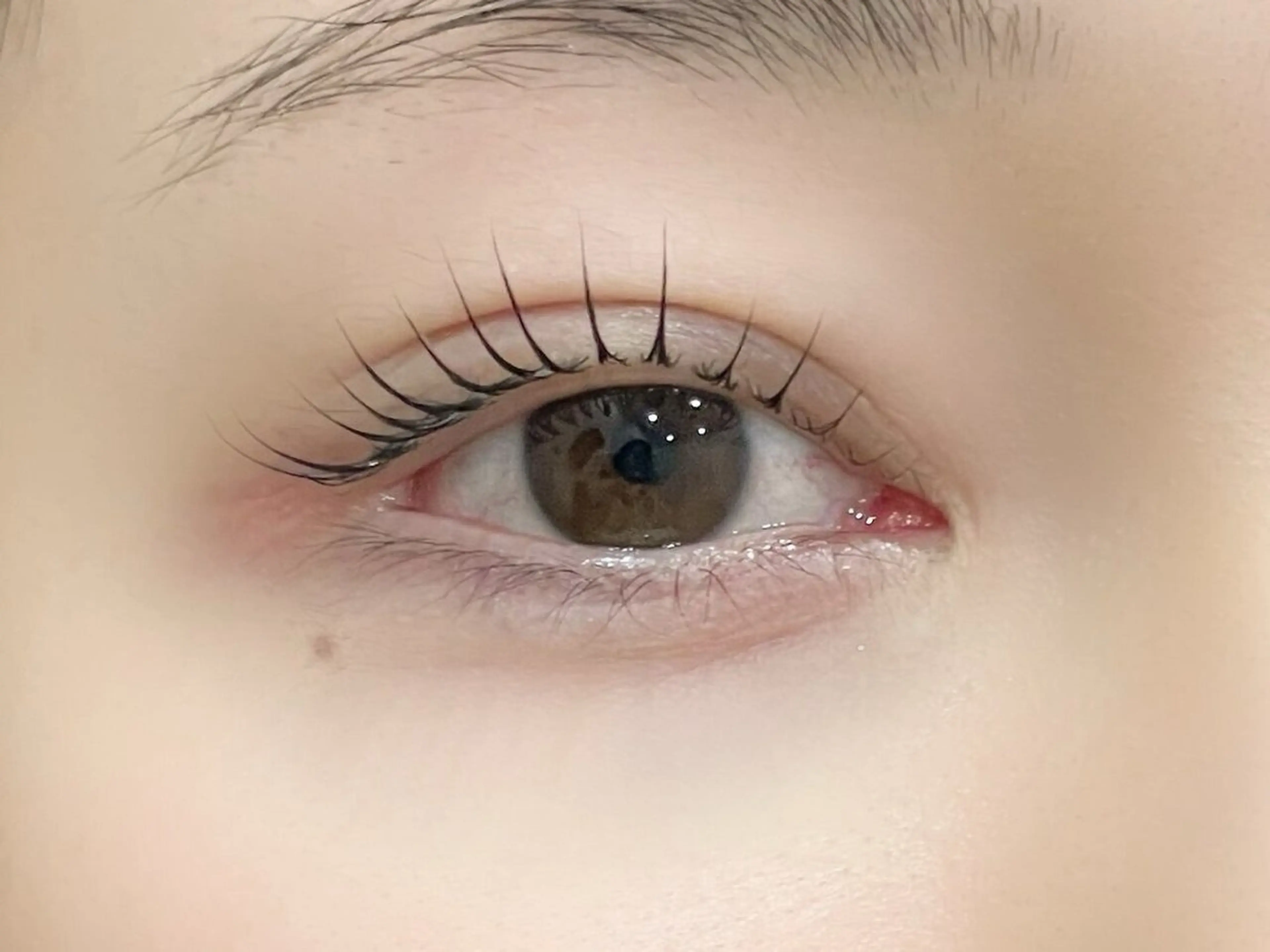 🖤パリジェンヌラッシュリフト🖤オフなしの写真