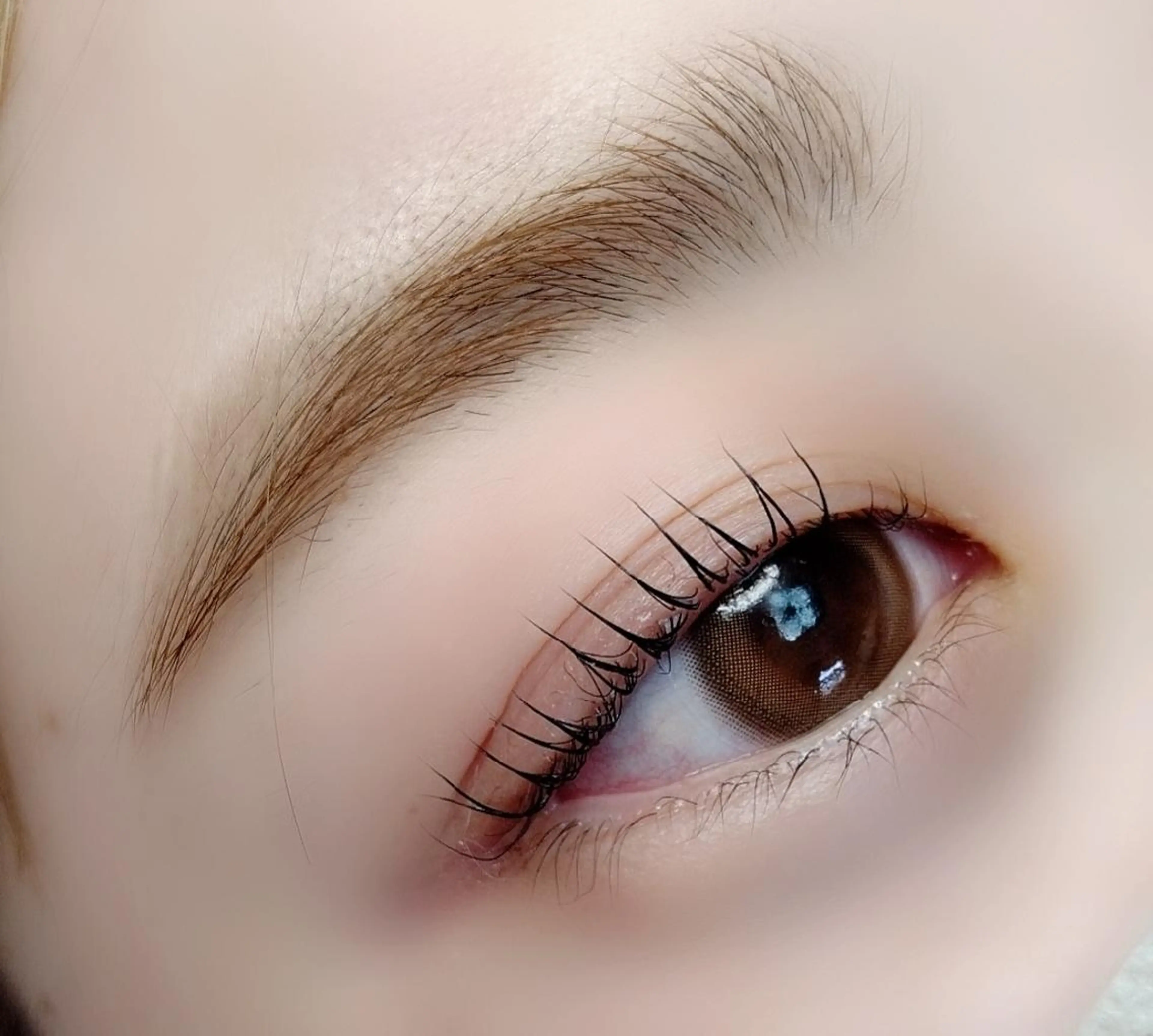 マツエク・マツパ ナチュラル 一重×まつ毛パーマ マツパ maison calmeのマツエク・マツパデザイン