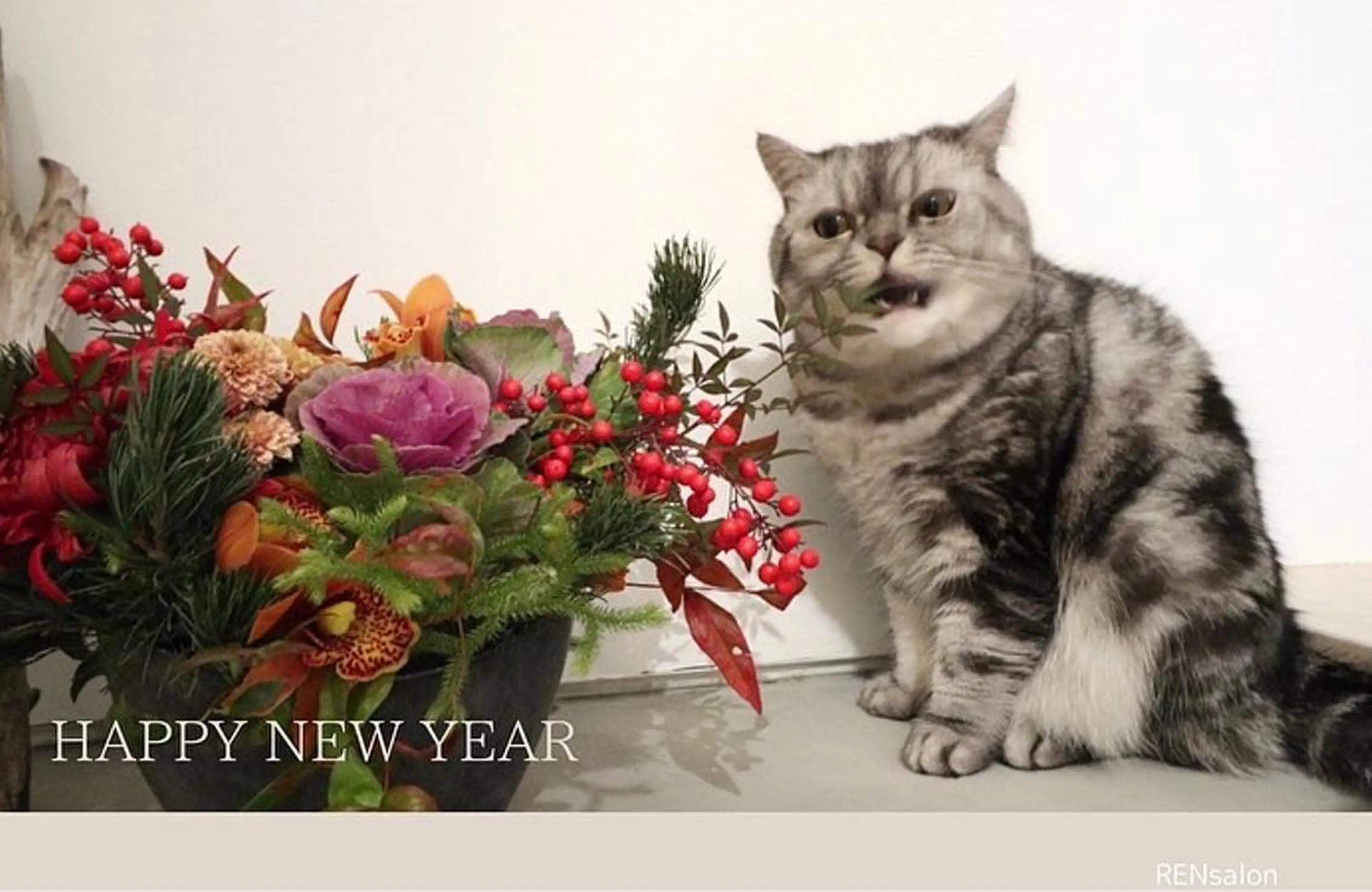 大阪・感覚から整う 体質改善サロンのエステ・リラクイメージ