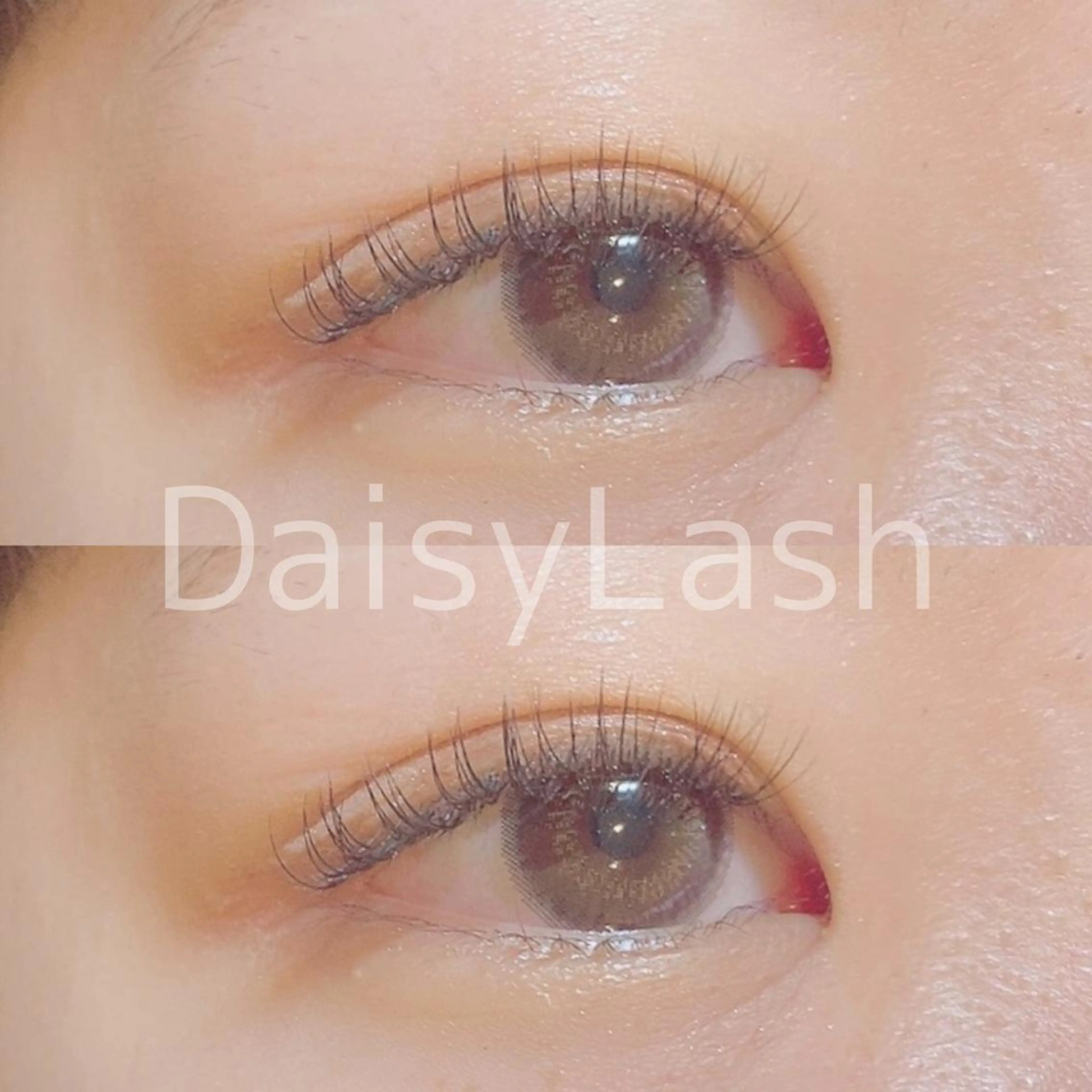 マツエク・マツパ DaisyLash 京橋店のマツエク・マツパデザイン