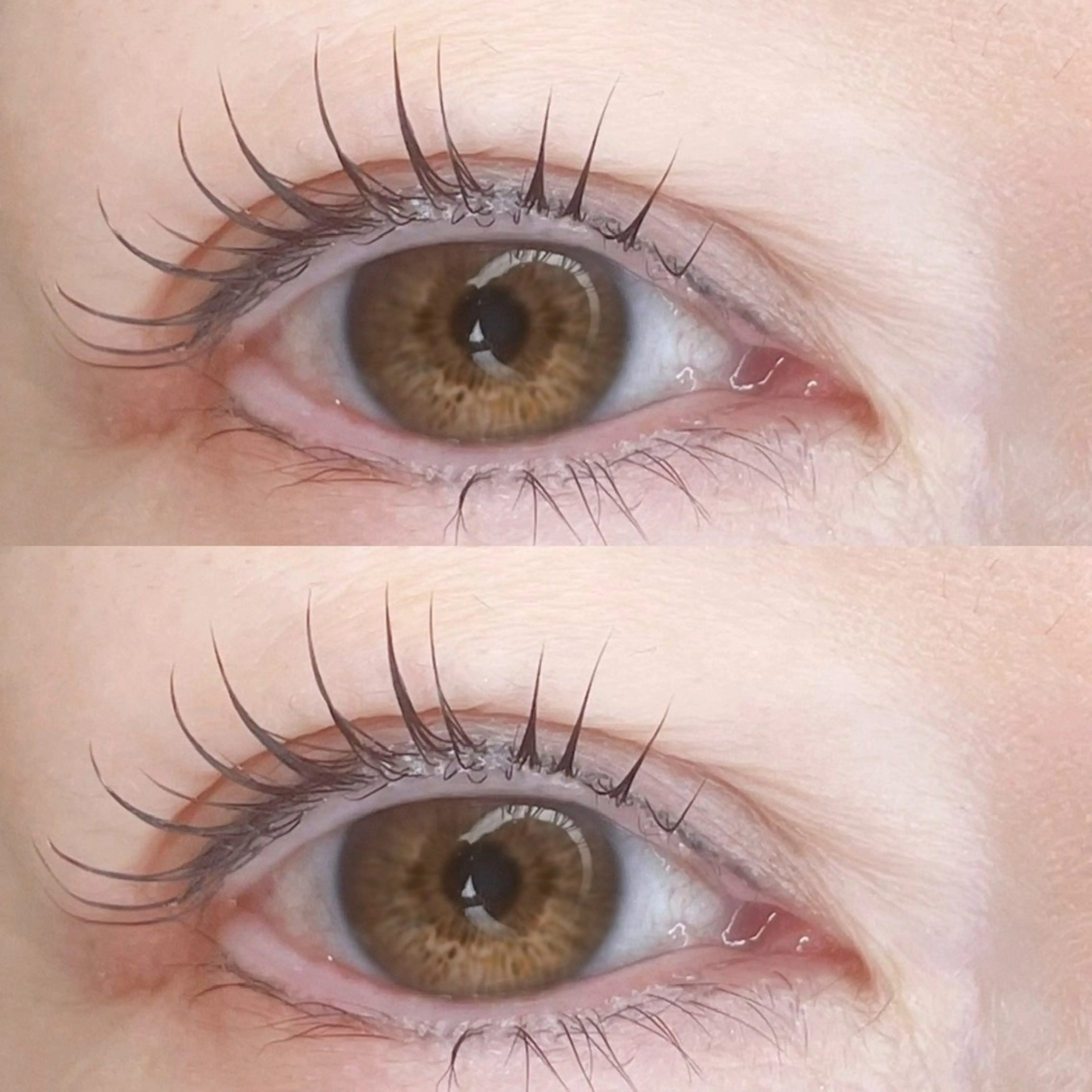 マツエク・マツパ Eyelash Salon Blanc～まつげエクステと眉の専門美容室～ 舞浜 イクスピアリ店所属・🍓blanc 川野咲紀🍓のマツエク・マツパデザイン