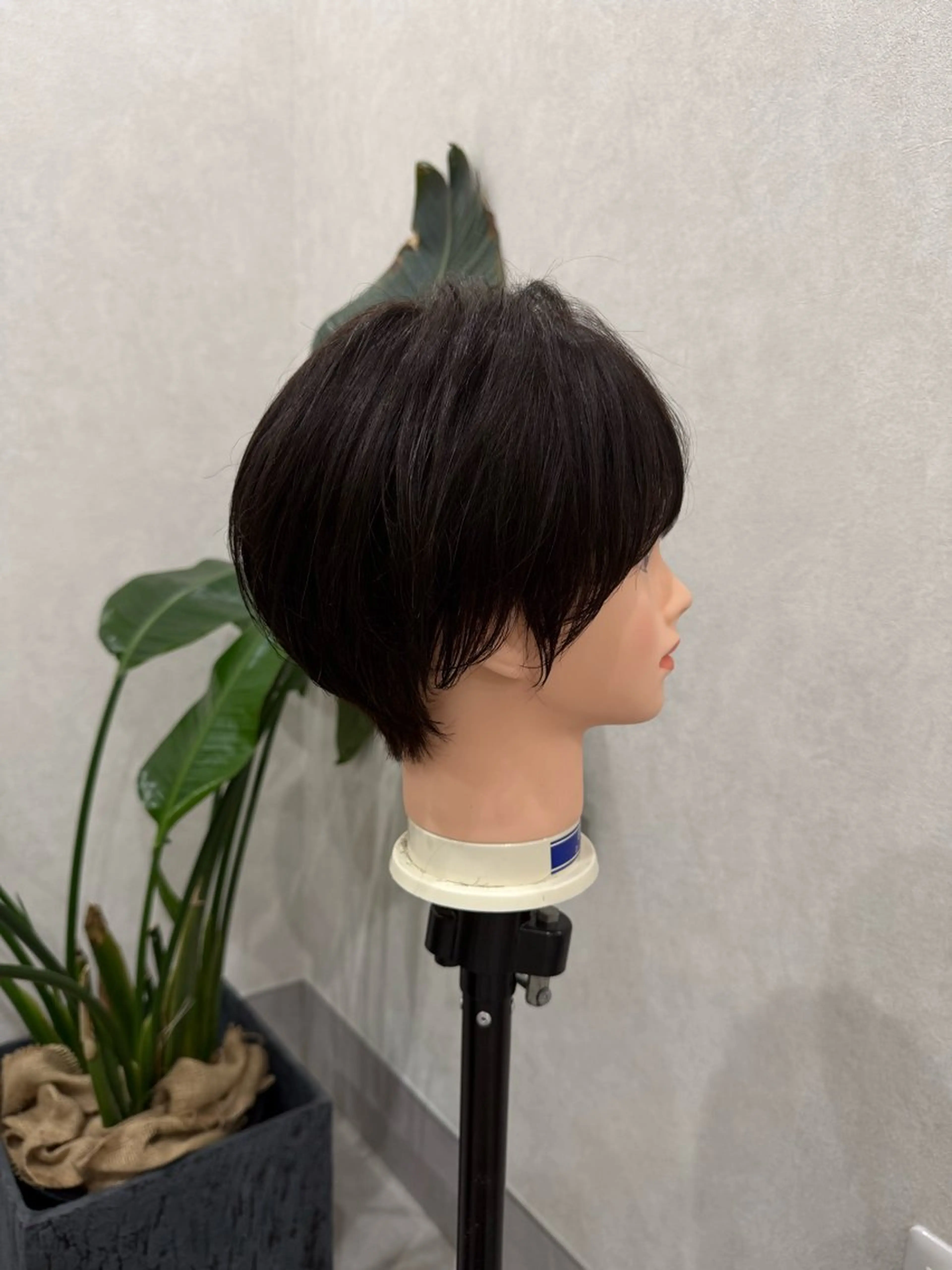 ショート ショートヘア stark🌱片倉 みうのヘアスタイル