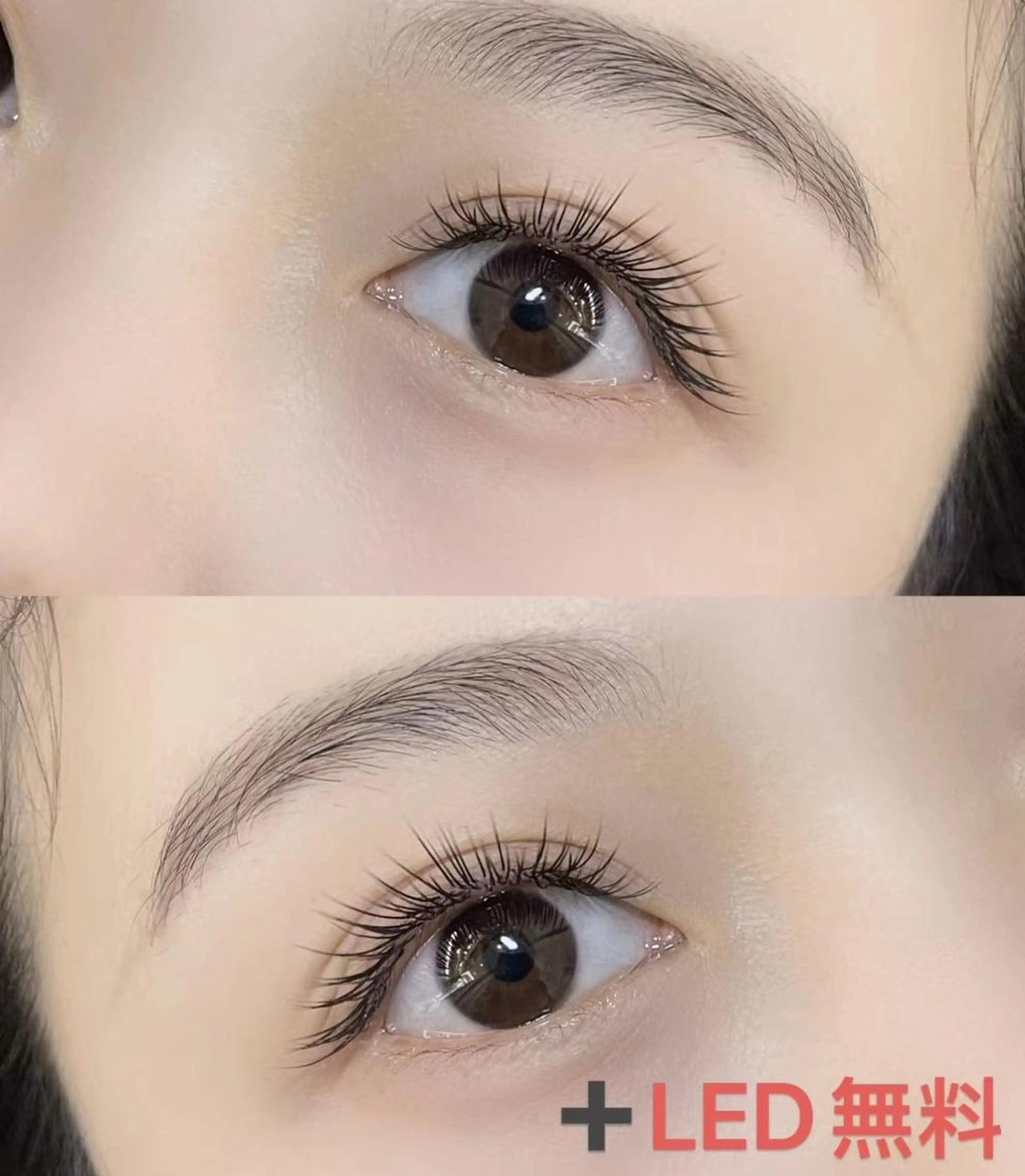 【LED無料】超軽量高持続力フラットラッシュ140本の写真