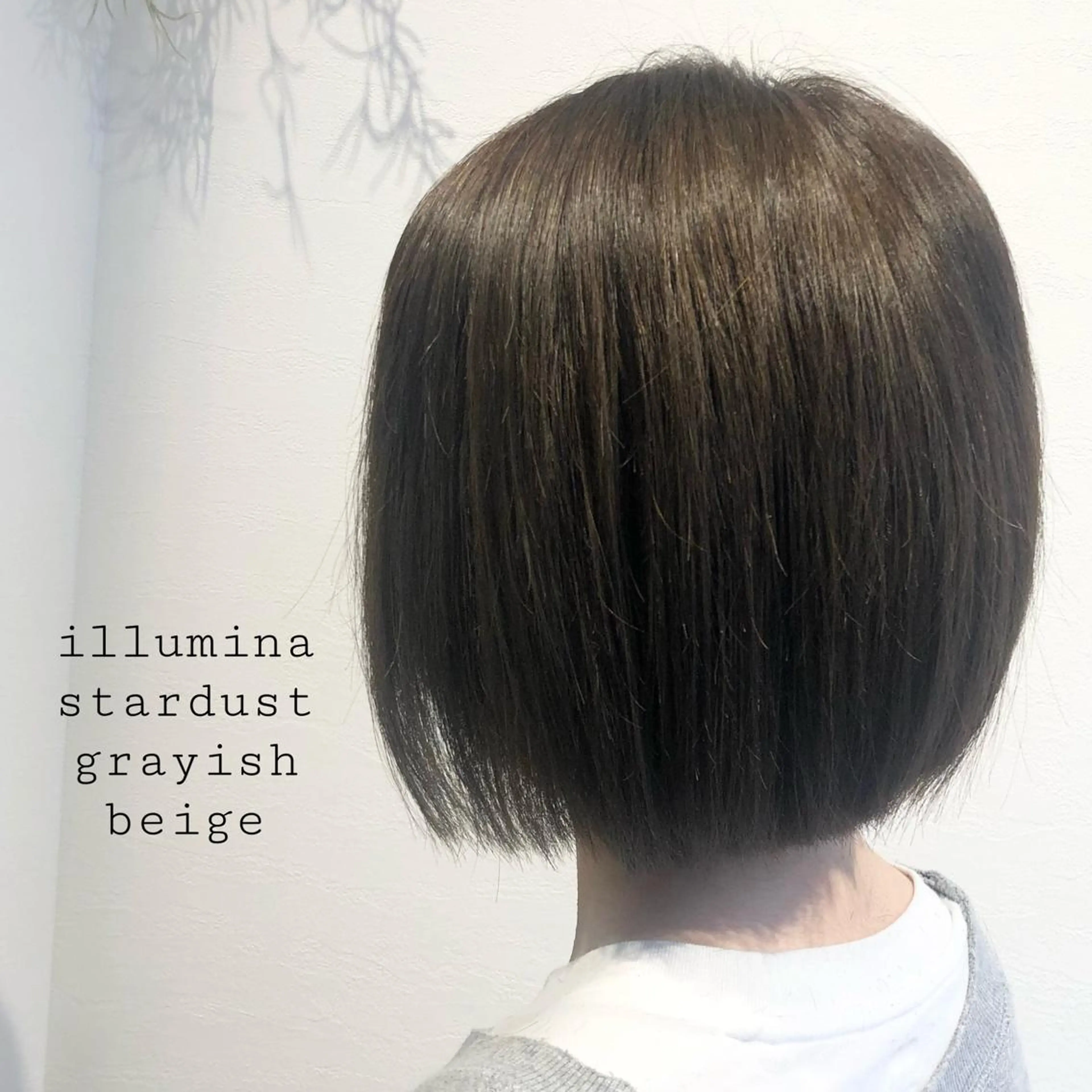 ショート カラー 透明感カラー グレージュ スターダスト ヘアカラー トリートメント 似合わせカラー✨人気 荻窪🌈川端風子のヘアスタイル