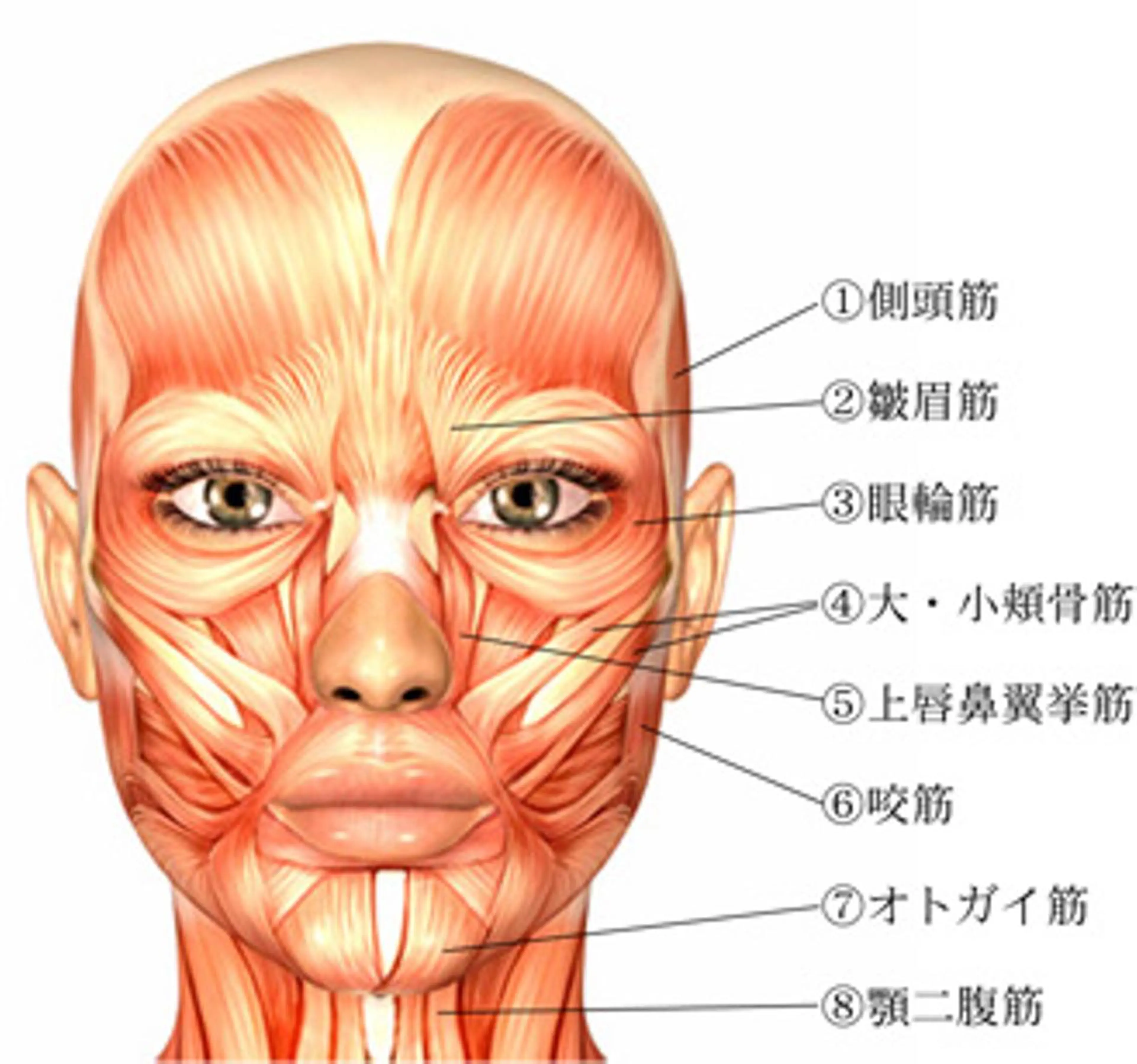 宮野 麻綺のエステ・リラクイメージ