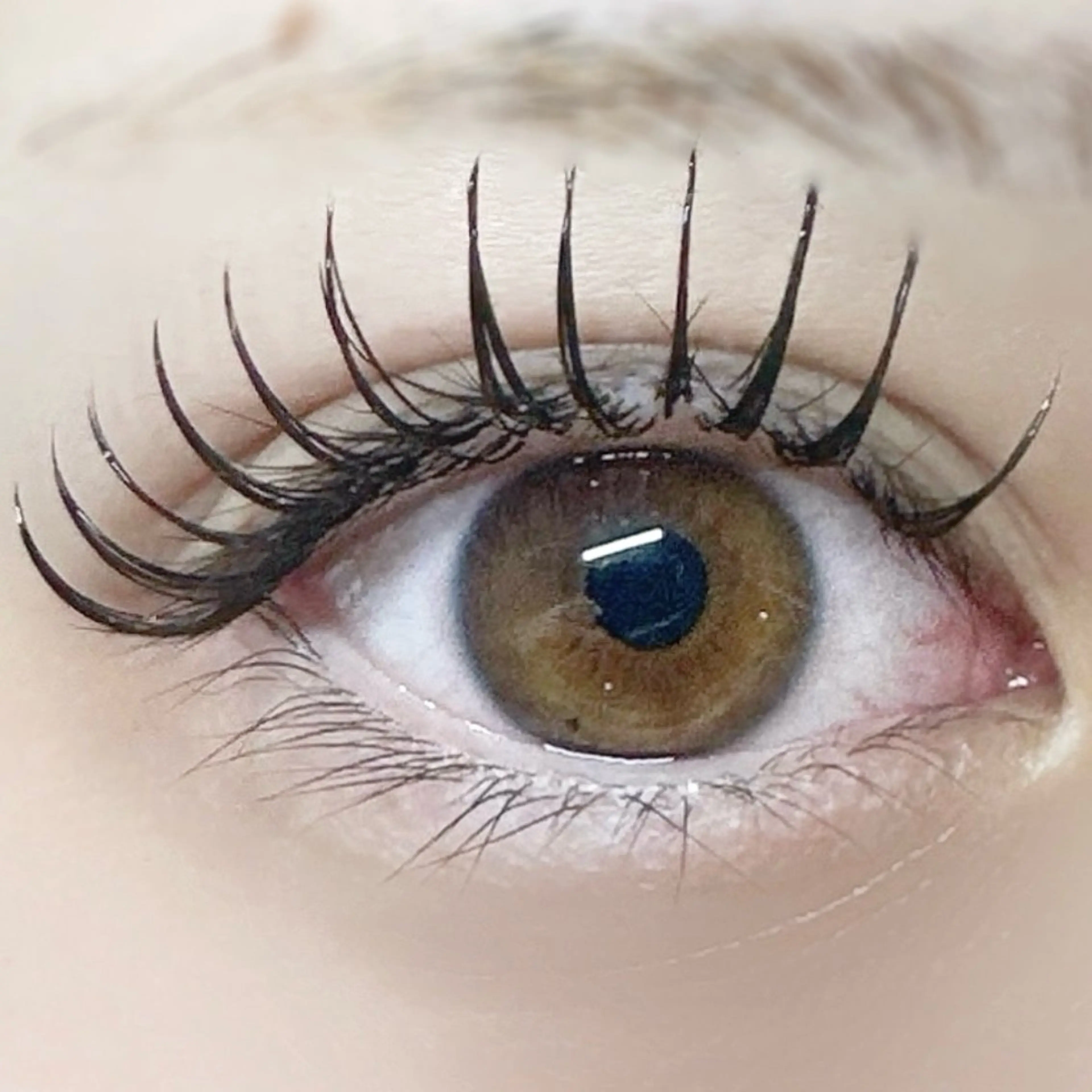 マツエク・マツパ フラットラッシュ マツエク マツエク専門店 cyunaのマツエク・マツパデザイン