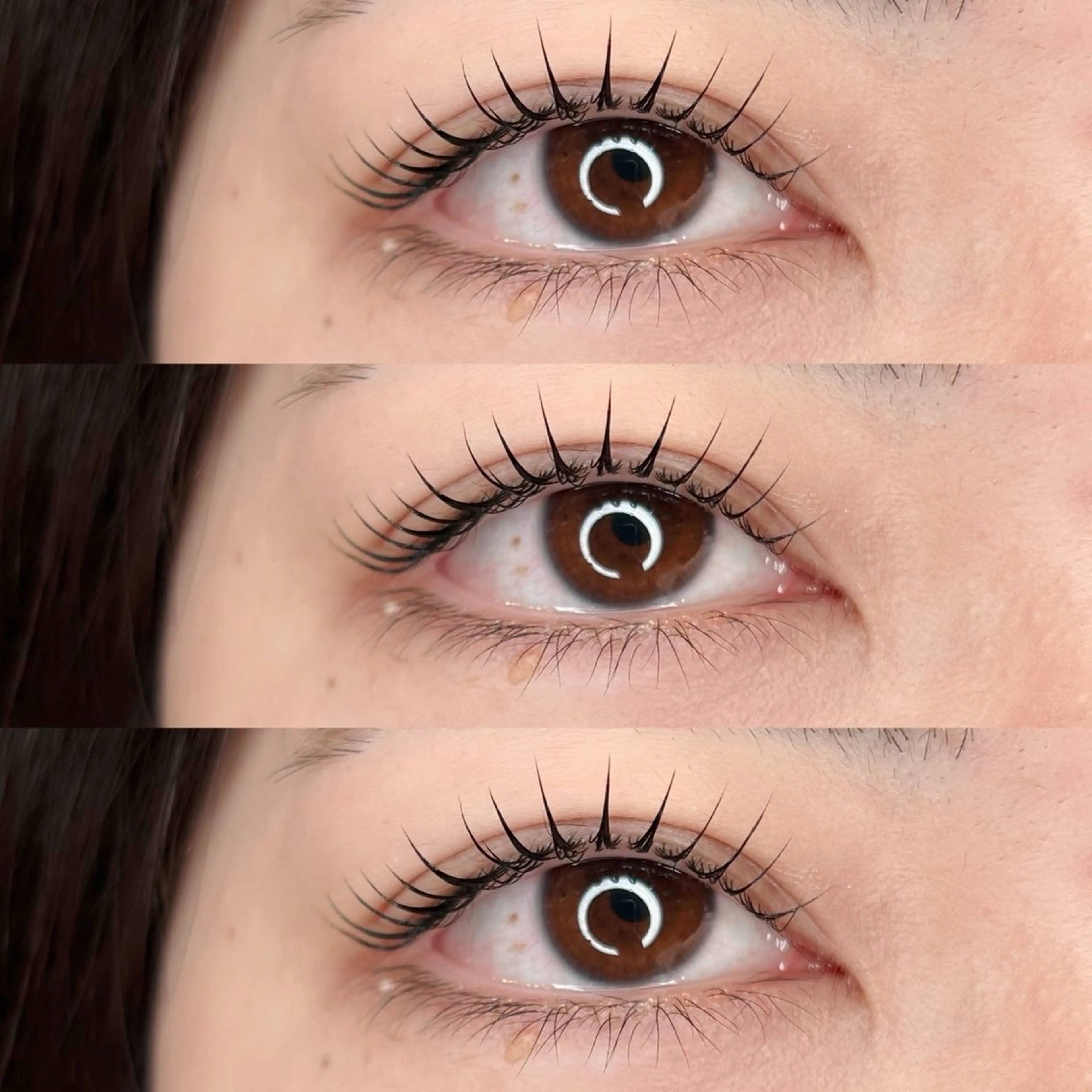 パリジェンヌラッシュリフト+ 束間コーティング仕上げ👀✨🌼の写真