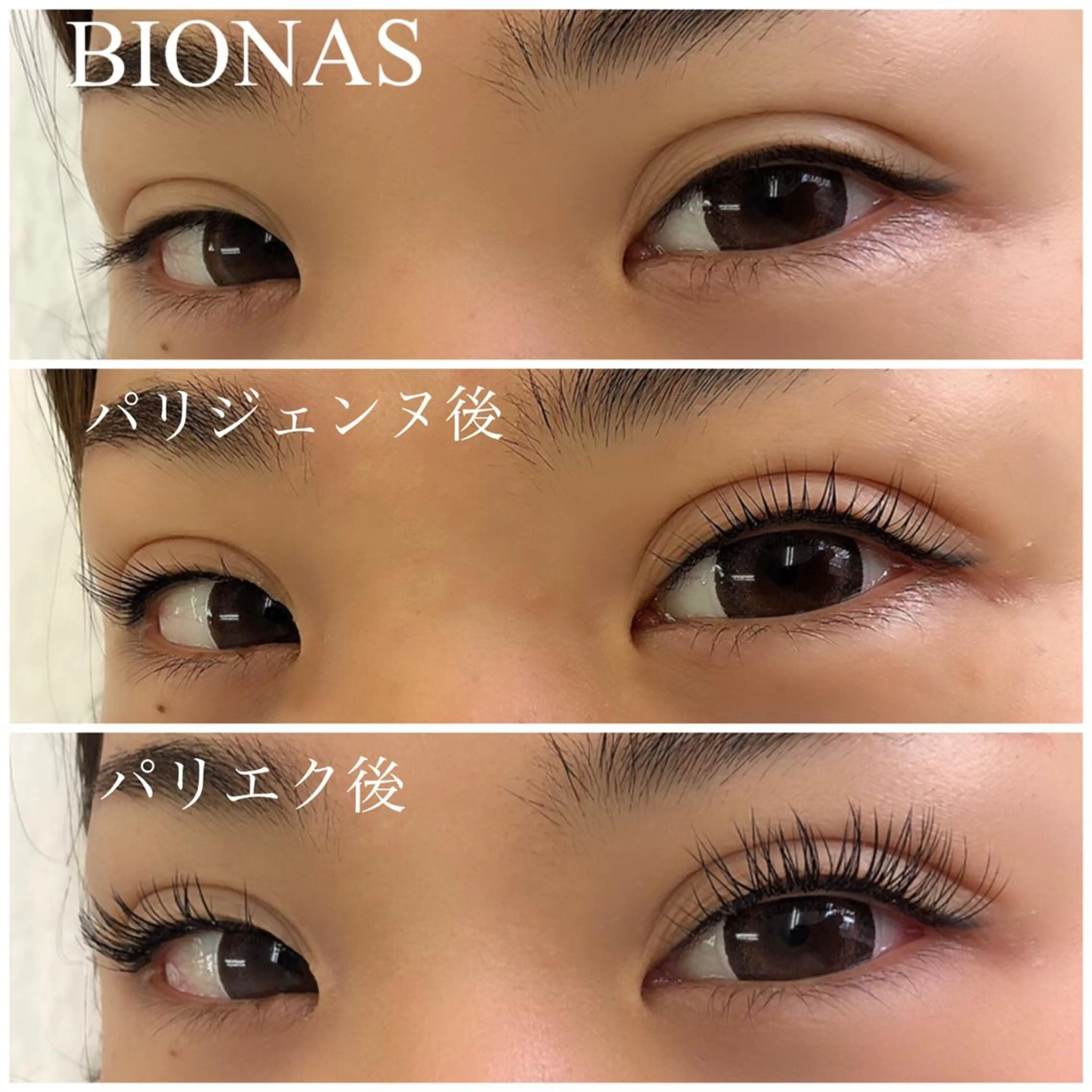 マツエク・マツパ フラットラッシュ パリジェンヌラッシュリフト BIONAS 【ビオナス】の眉毛・アイブロウイメージ