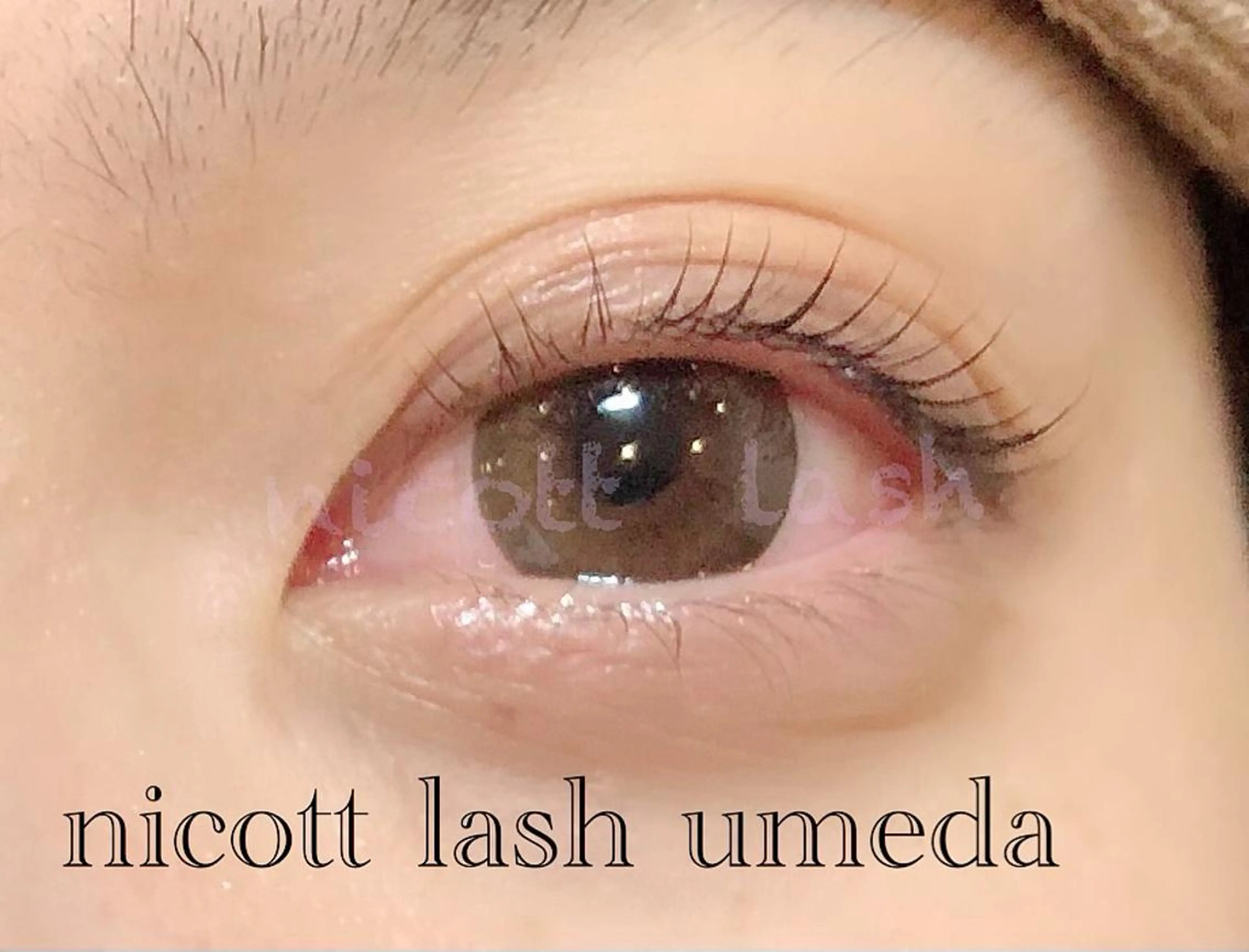 マツエク・マツパ 一重×まつ毛パーマ サクラブロウ 難波のマツエク・マツパデザイン