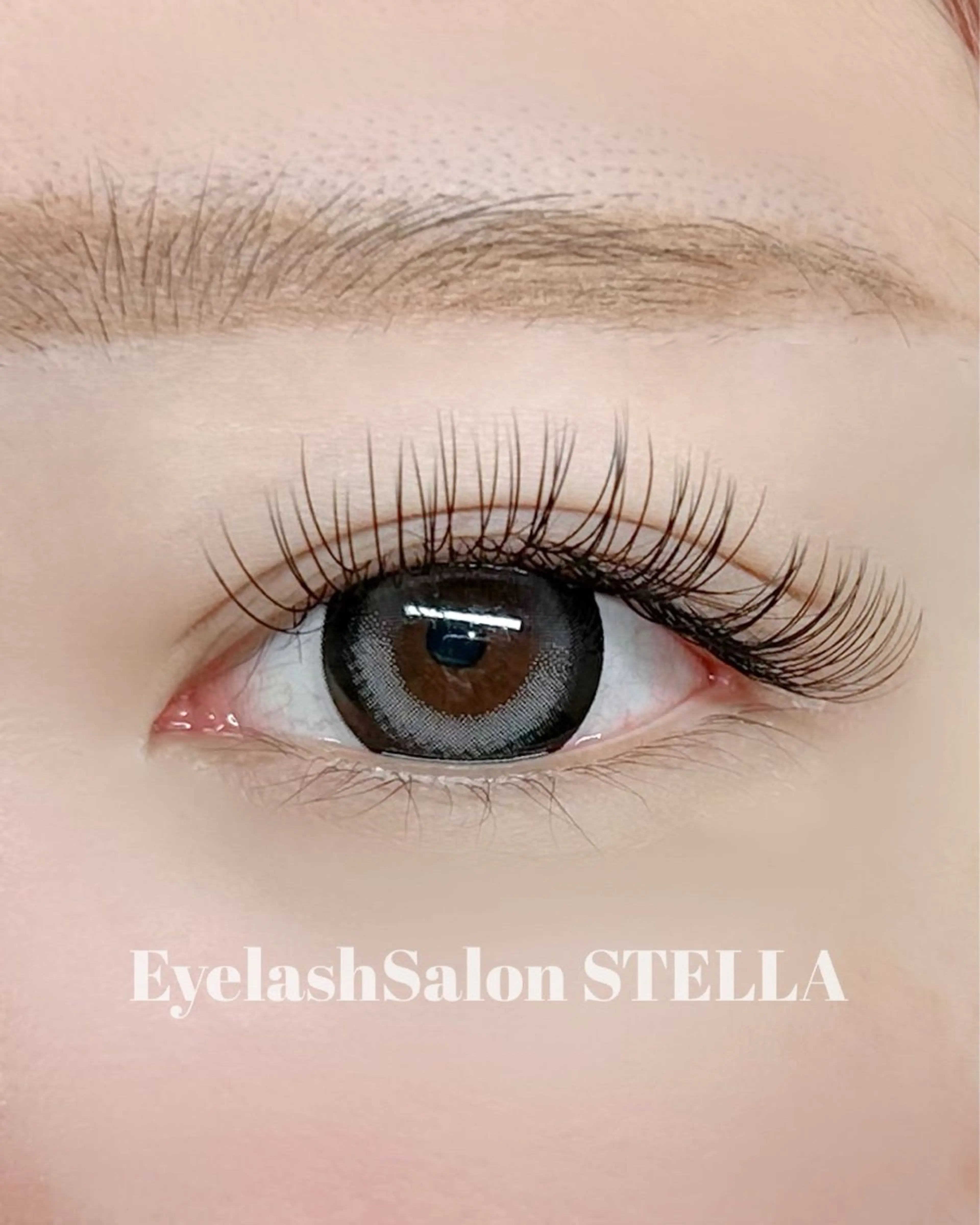 マツエク・マツパ フラットラッシュ マツエク Stella Harunaのマツエク・マツパデザイン