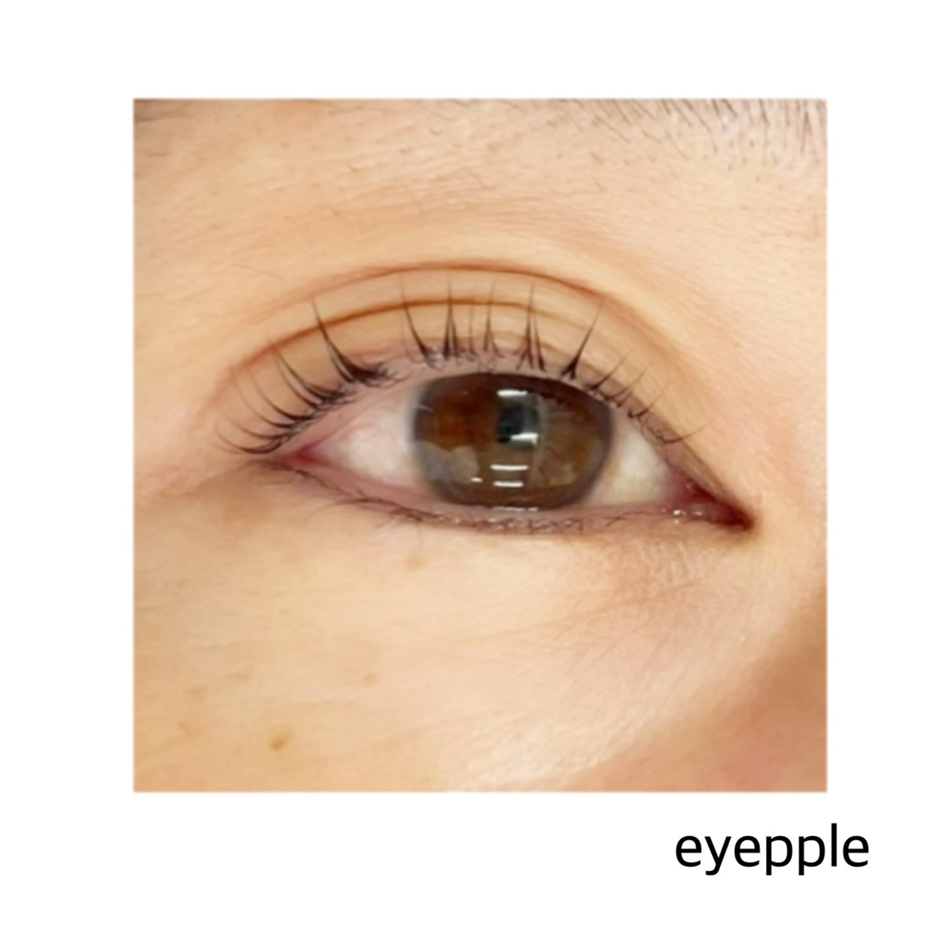 マツエク・マツパ eyepple あやのマツエク・マツパデザイン
