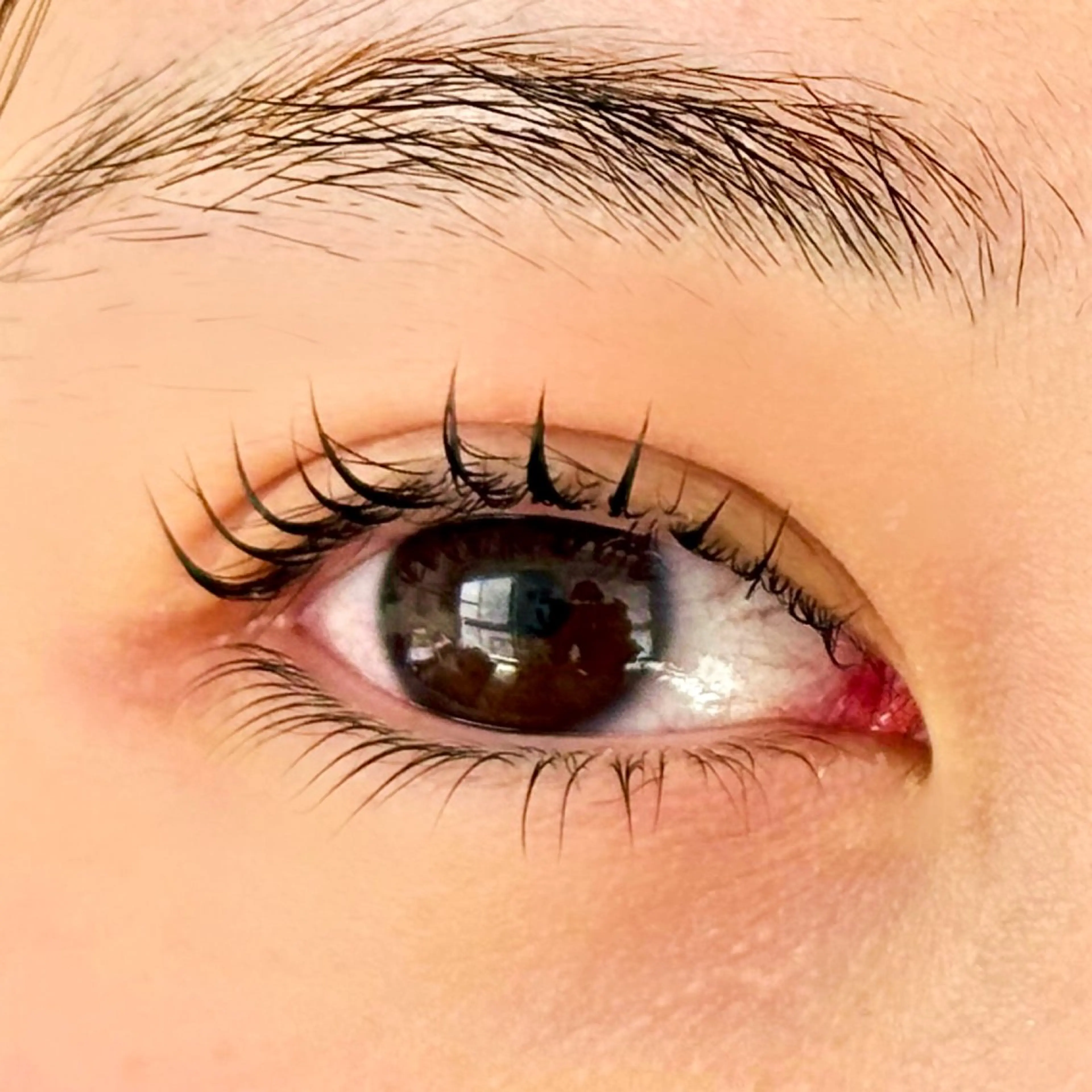 マツエク・マツパ 下まつげエクステ 一重×まつ毛パーマ マツパ franfika かりごめのマツエク・マツパデザイン