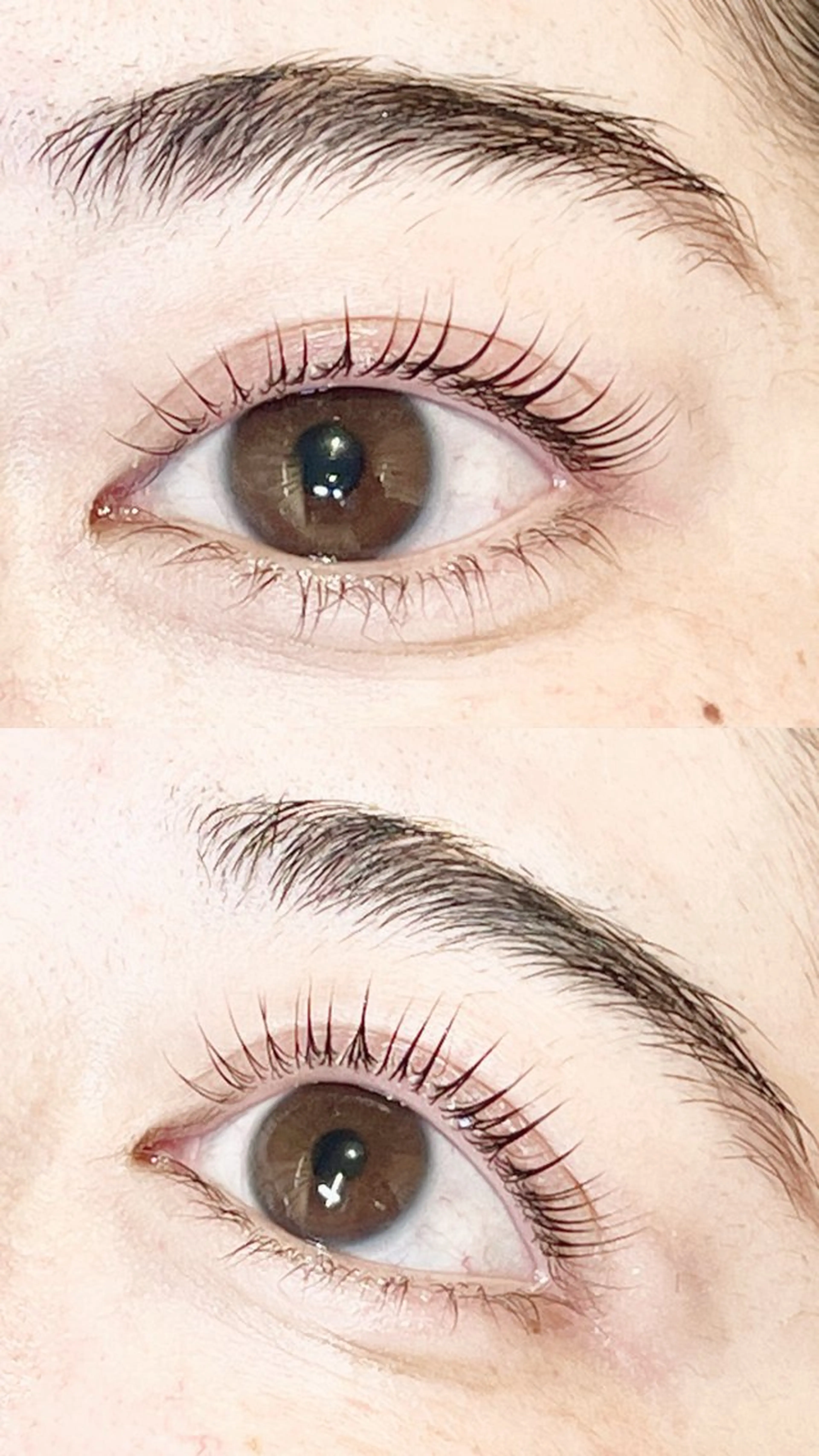 マツエク・マツパ マツパ eyelist 松沼のマツエク・マツパデザイン