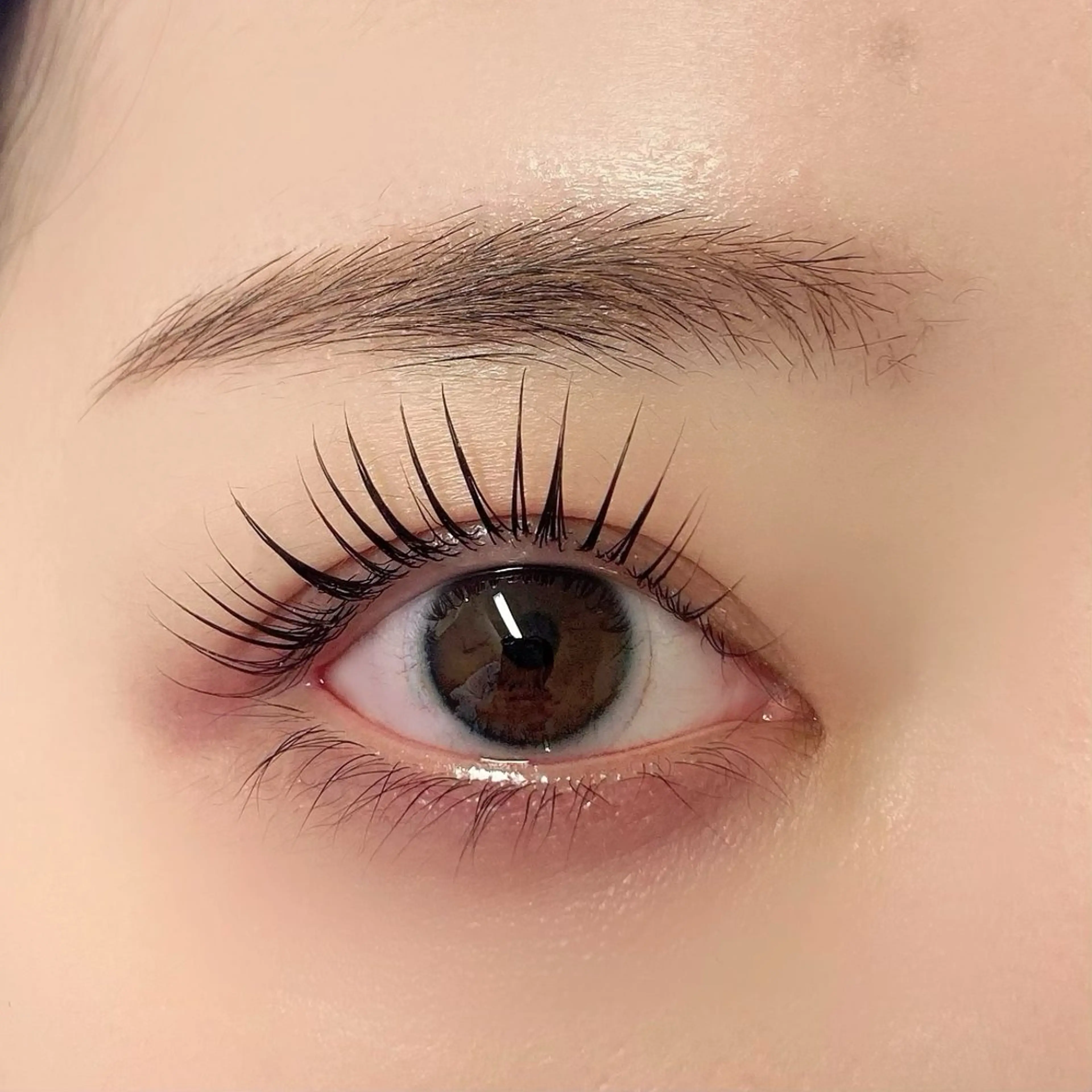 ケラチンラッシュリフト上まつげ　5800円の写真