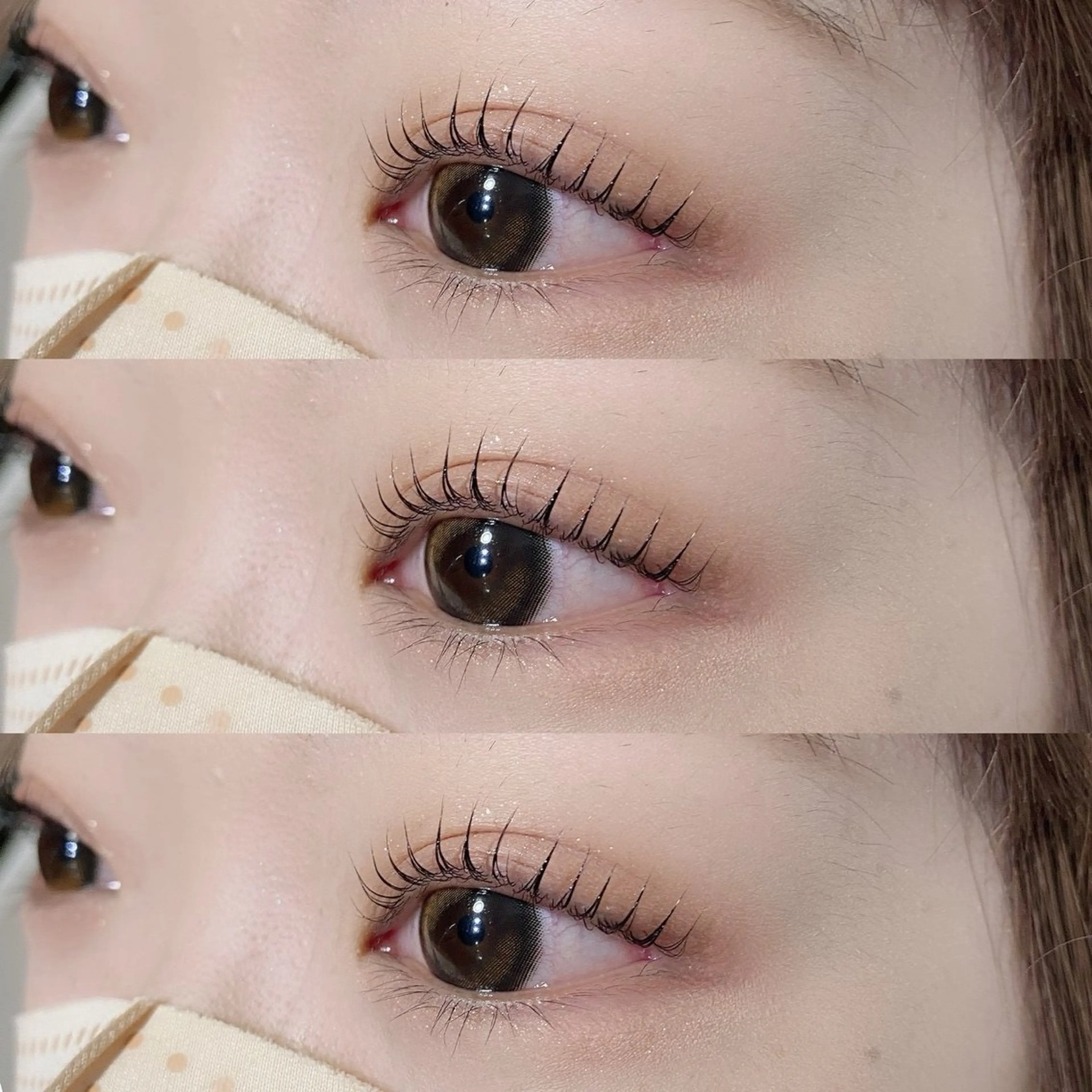 (UR30女性限定)上下まつ毛パーマ 美容コーティング付き🪽4/15 11:30~限定🦋✨の写真