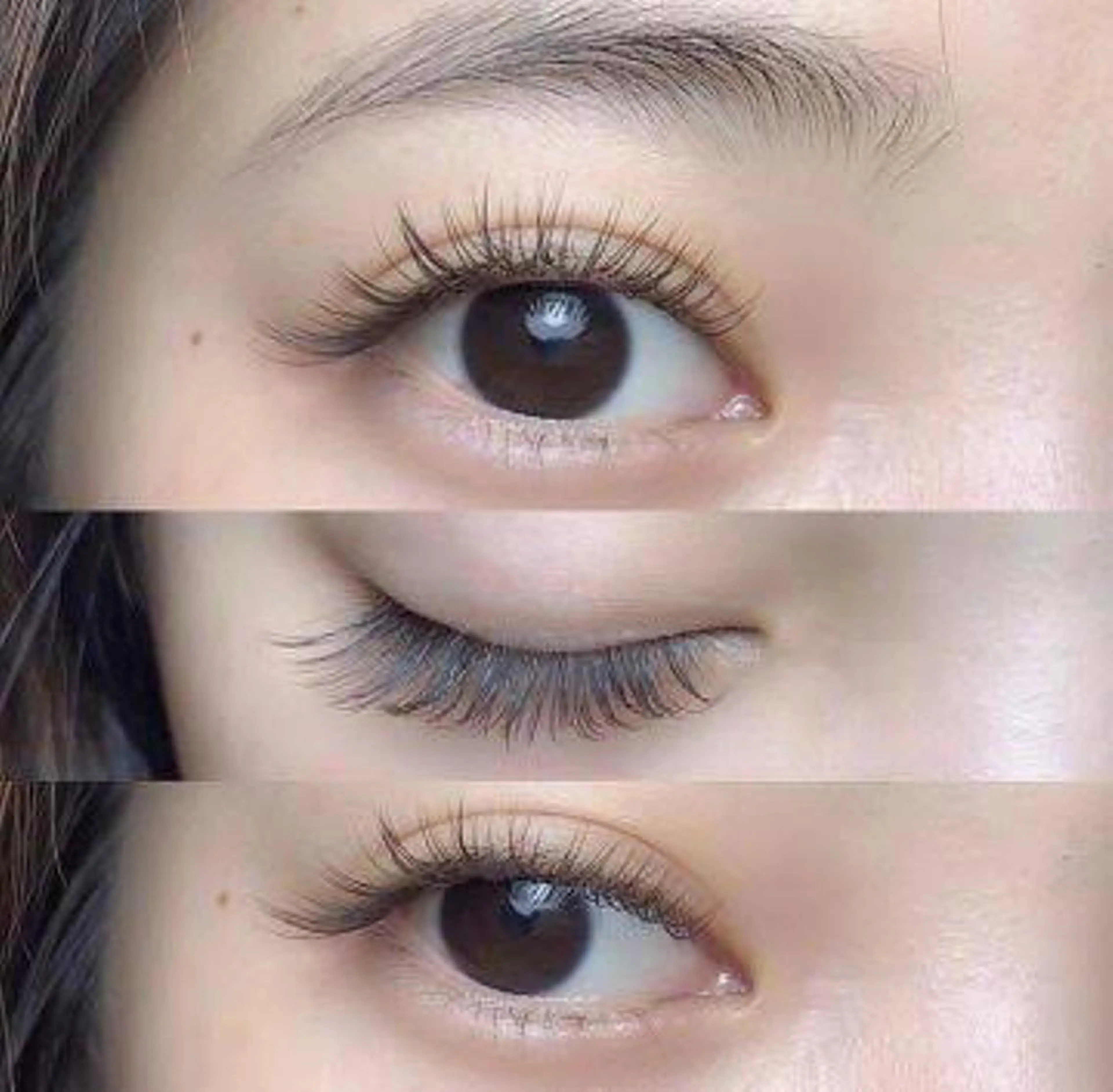 【マツエク】シングル　付放題の写真